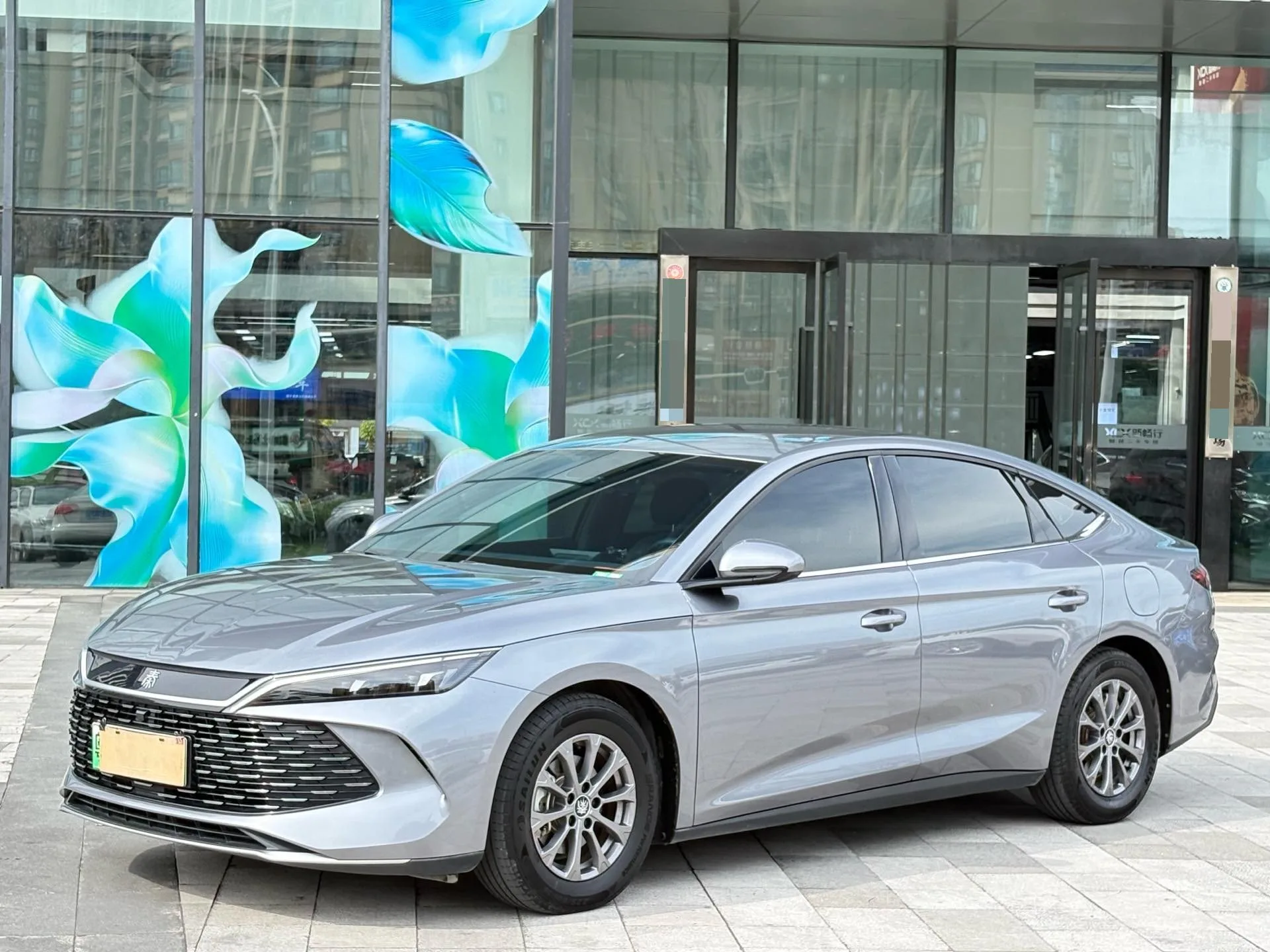 Qin L 2024 DM-i 80KM Leading Edition