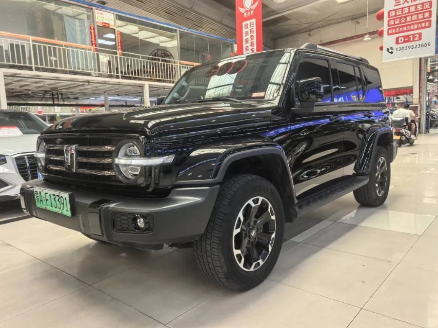 Tank 2025 Model Tank 300 Hi4-T 2.0T Hi4-T Automatic Transmission