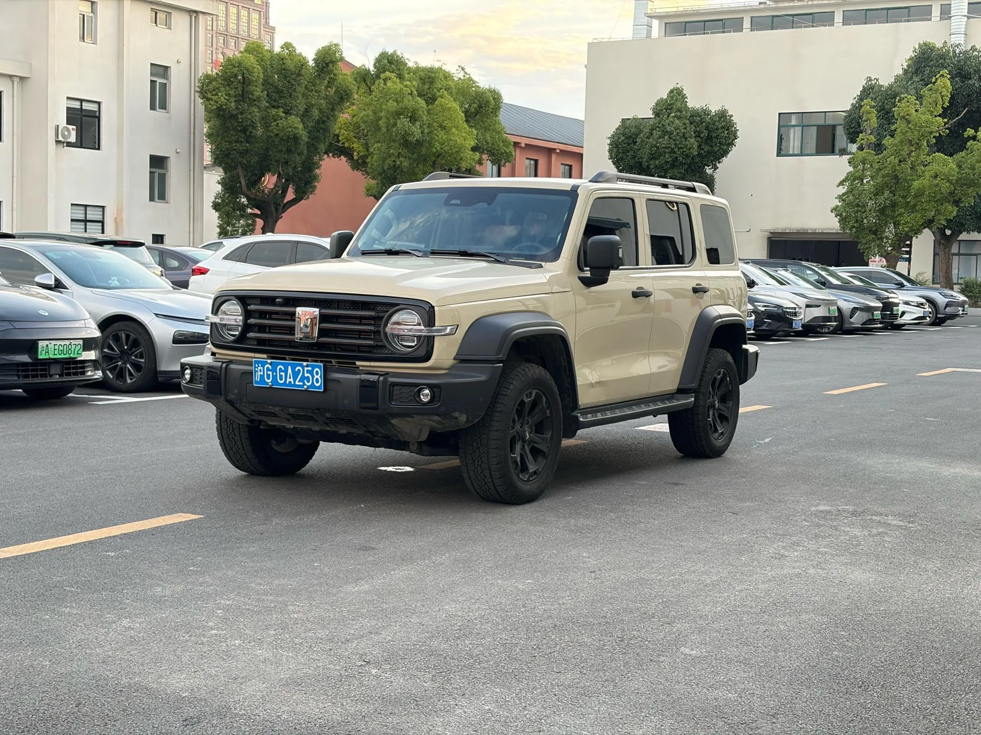 坦克 300 2.4吨 柴油机 自动的 （2025） 模型）