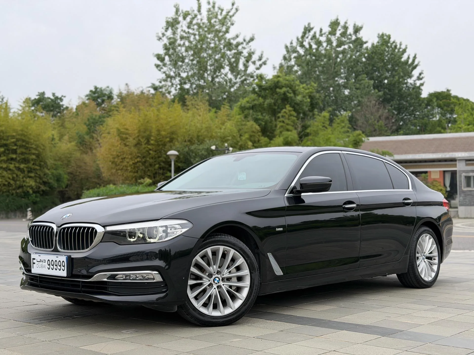 2018 BMW 5 Series 530Li Leading Luxury Package