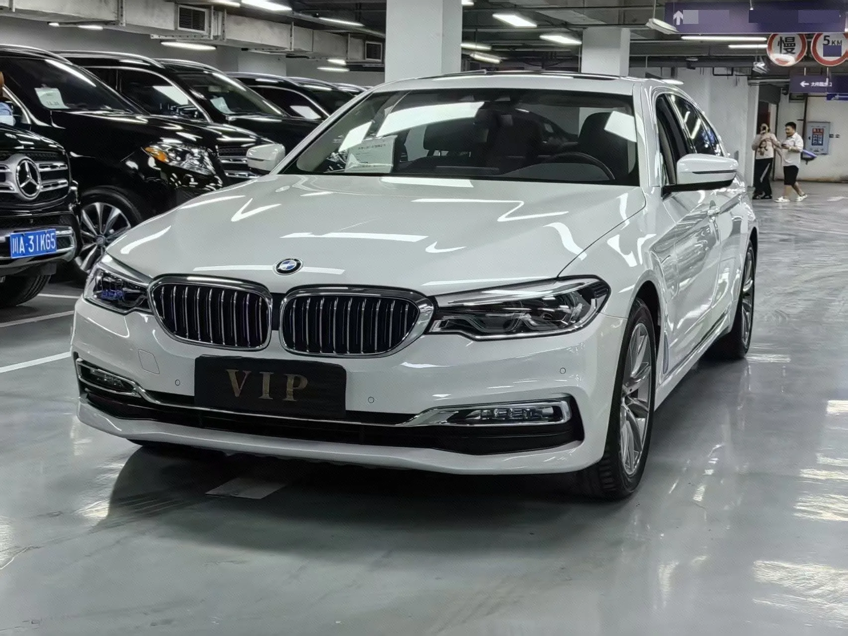 BMW 5 Series New Energy, 2018 Model Year, 530Le Luxury Package