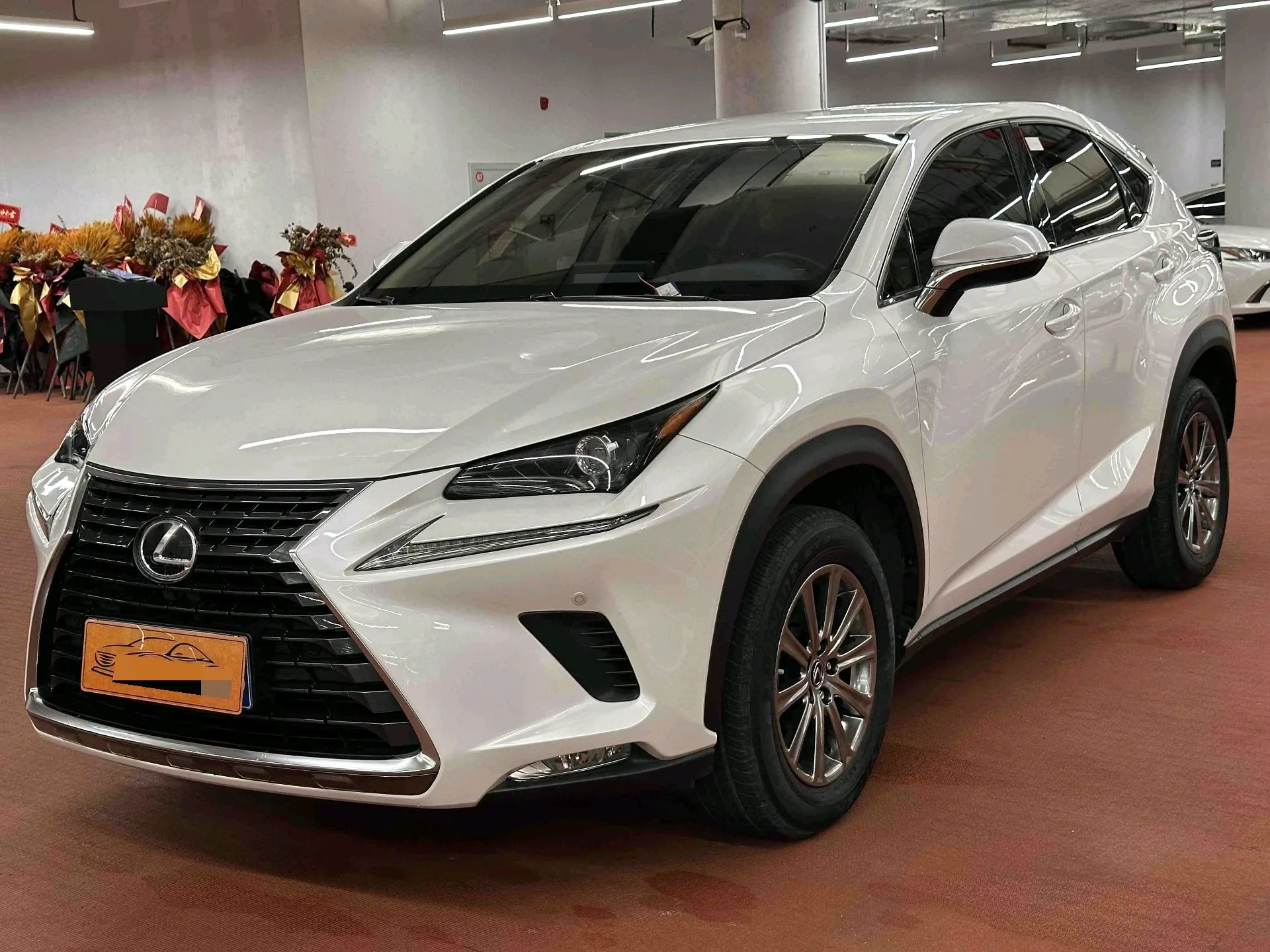 2020 Lexus NX 200 FWD Fengyi Edition, China VI
