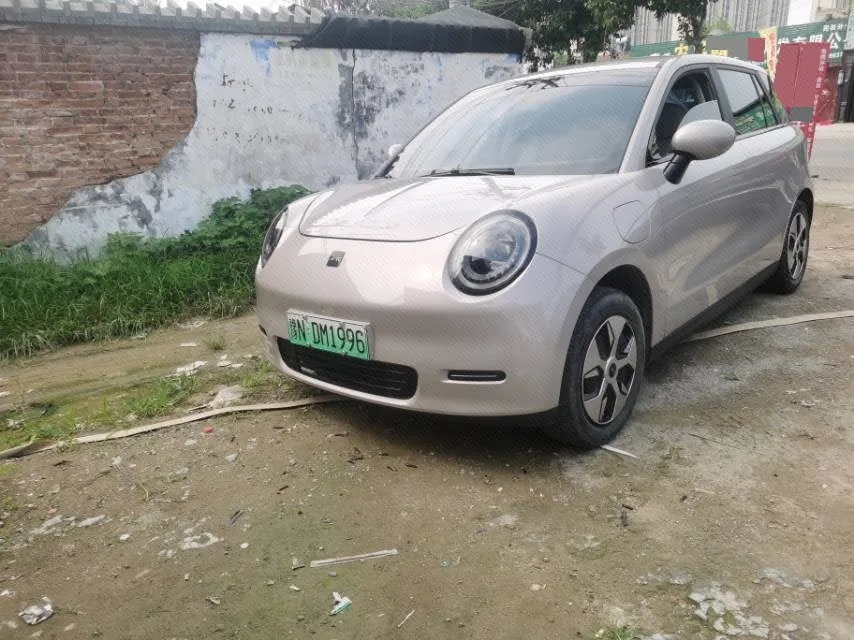 JAC 2024 Yuewei 3 "Zhi'ai" Edition 330km Air+ Automatic Transmission