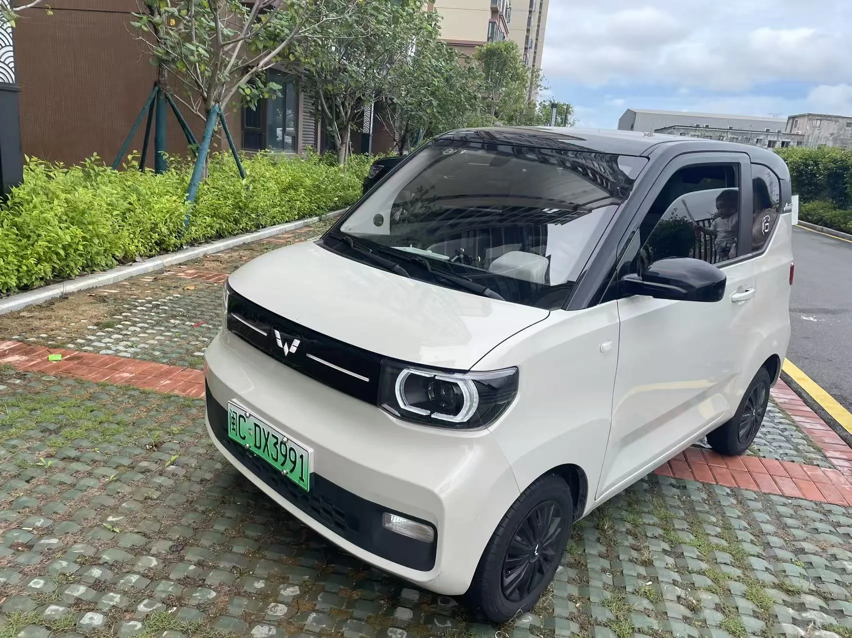 Hongguang MINIEV 2022 Macaron Premium Edition Ternary Lithium
