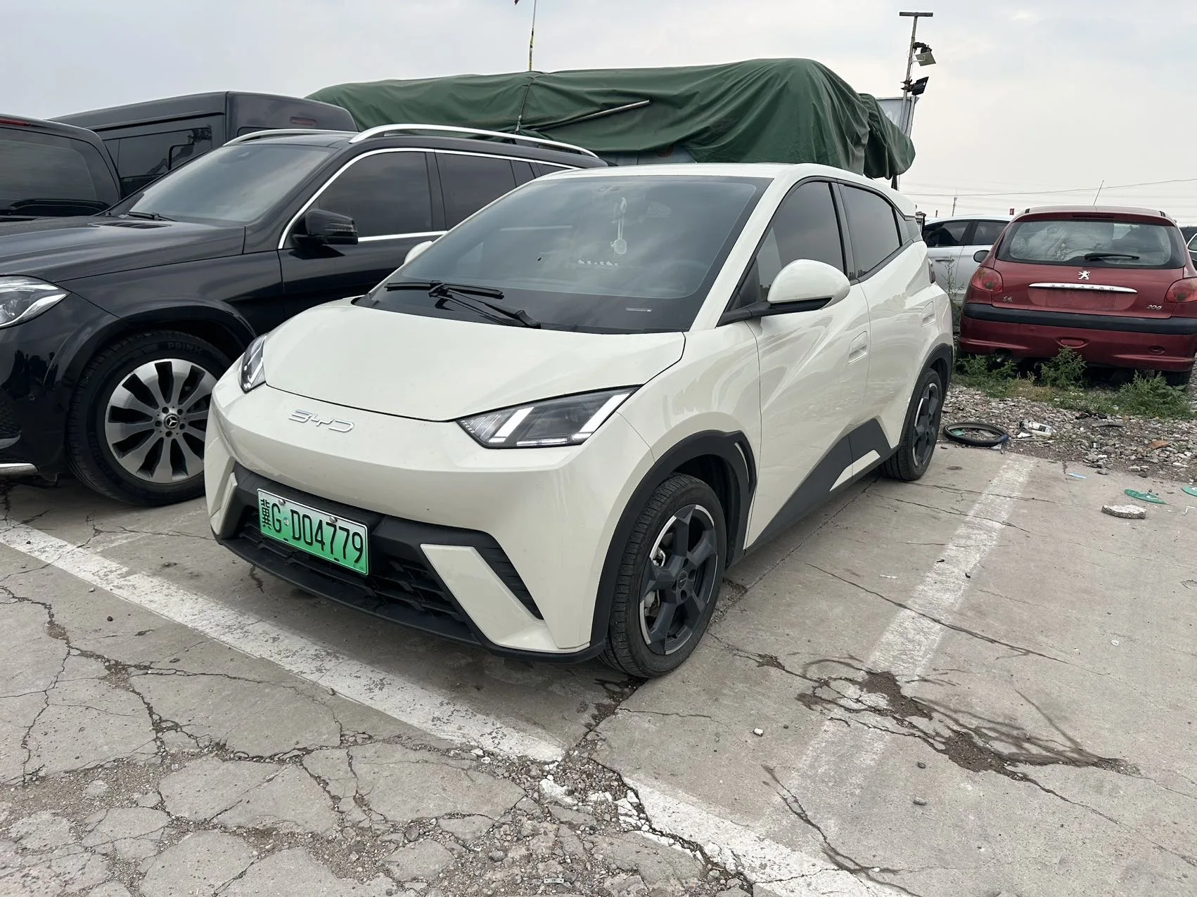 BYD 2023 Seagull Freedom Edition Automatic