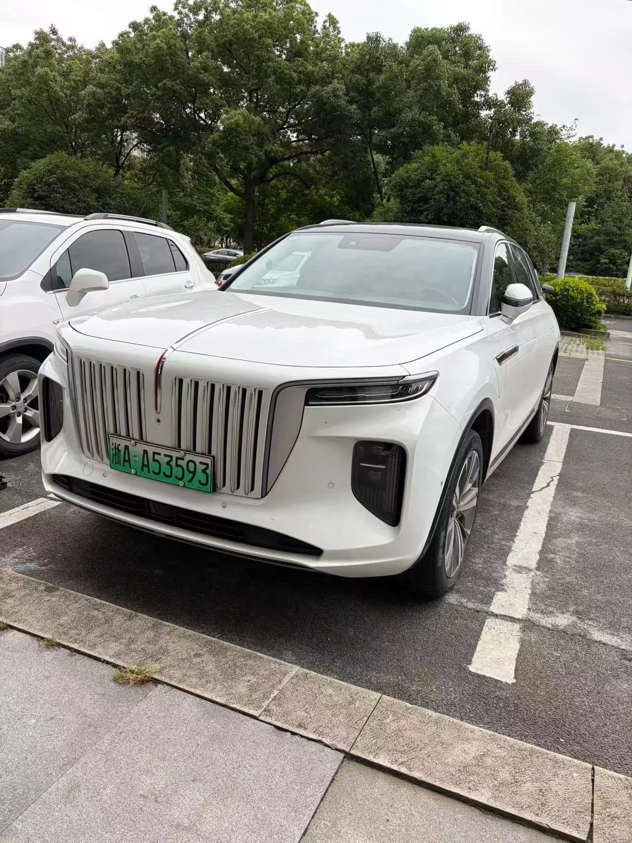 2021 Hongqi E-HS9 460km Qi Xiang Edition, 6-Seater