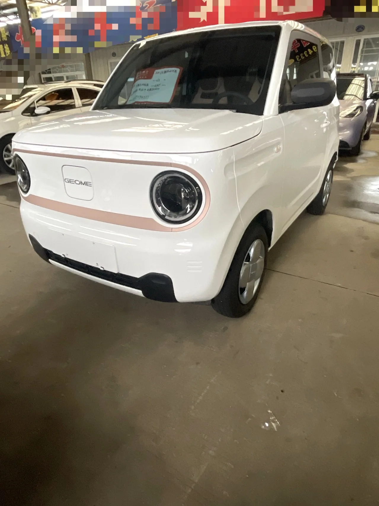 Panda 2023 Panda Mini 200km Endurance Bear