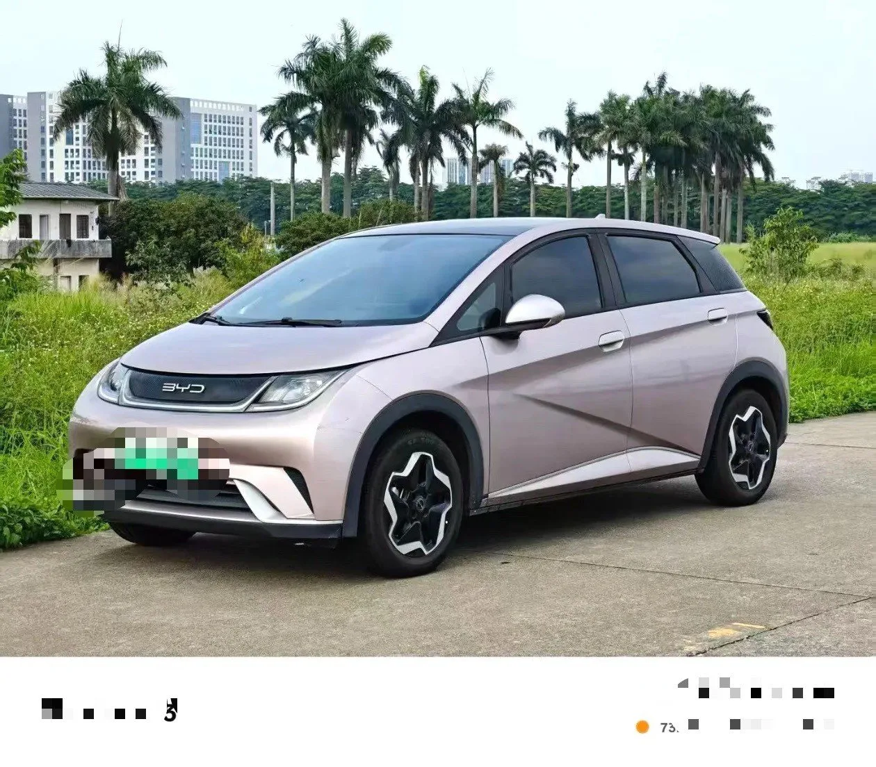 Dolphin 2021 405km Freedom Edition