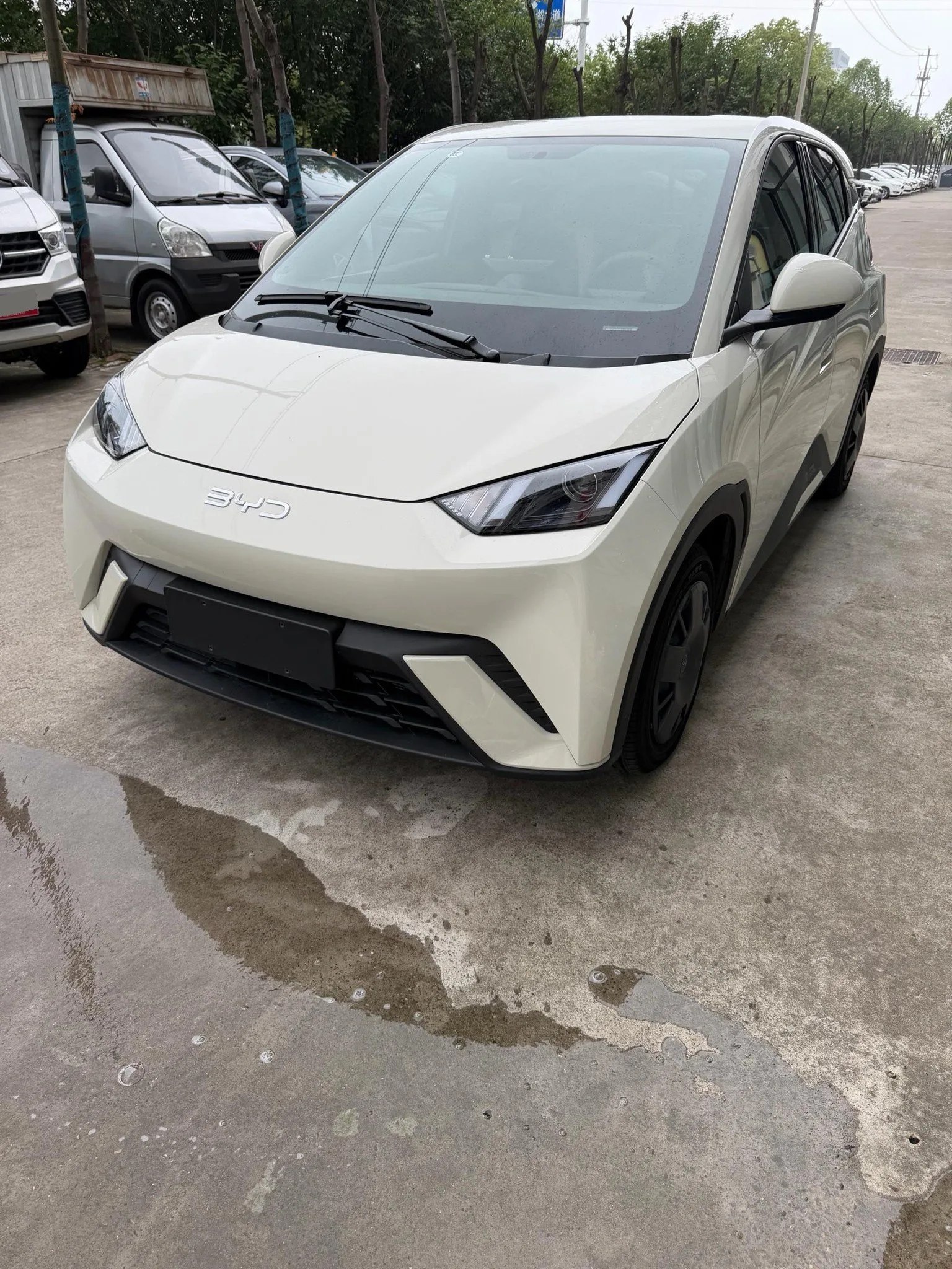 BYD 2024 Seagull Glory Edition 305km/h Vitality Edition Automatic