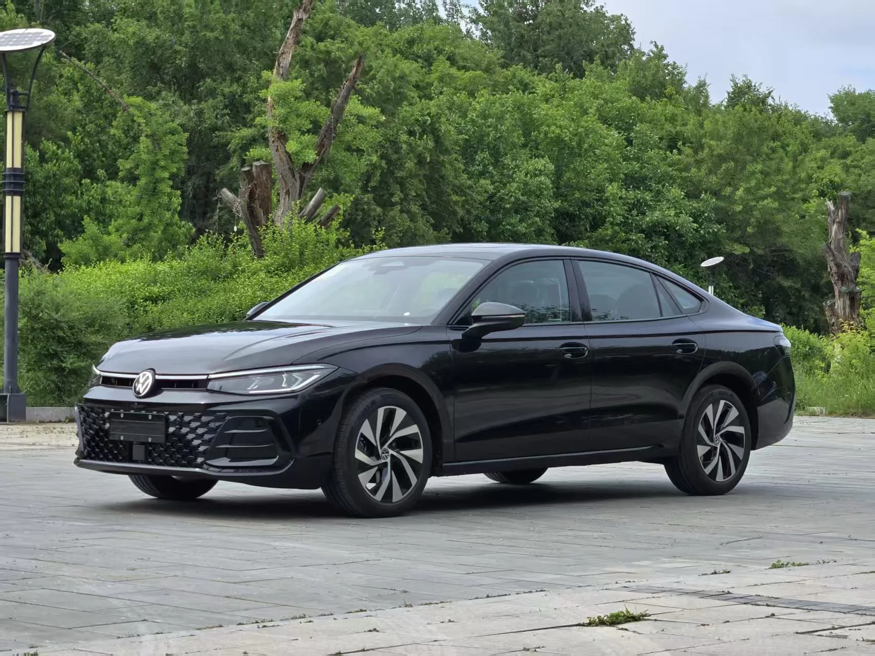 Volkswagen 2025 Passat Pro 2.0TSI 380TSI Starry Sky Dragon Edition Automatic Transmission