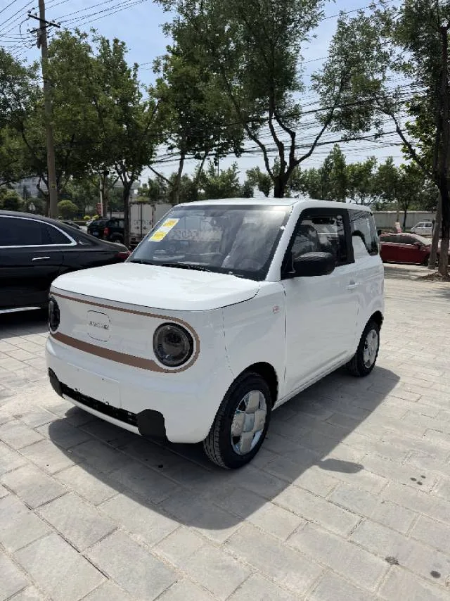 Panda 2024 Panda Mini 200km Endurance Bear