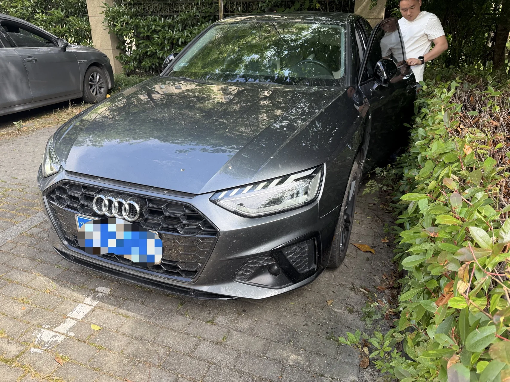 Audi A4L 2022 40 TFSI Luxury Dynamic