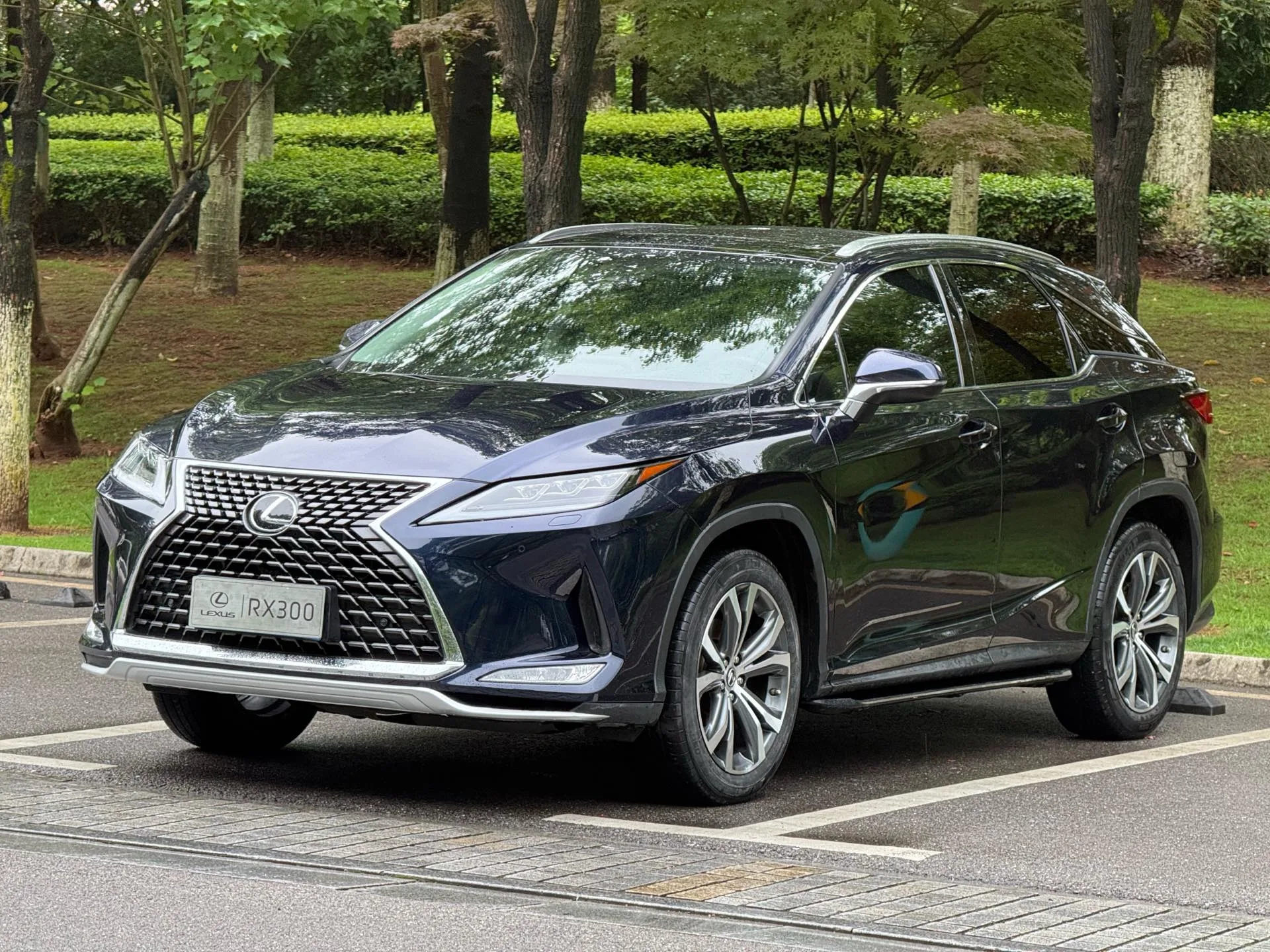 Lexus RX 2020 300 AWD Elegant Edition (China V Emission Standard)