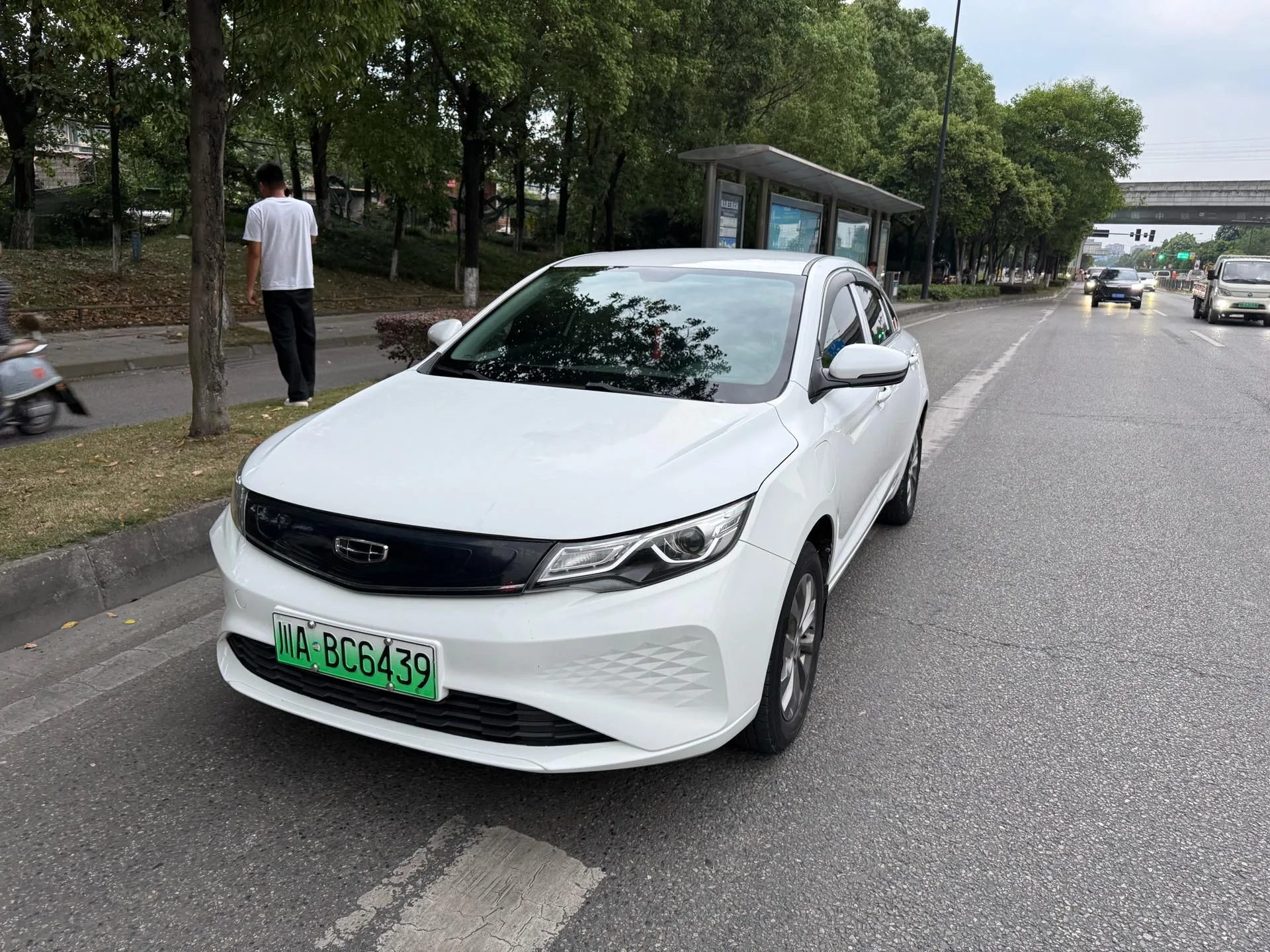 Geely Emgrand EV Pro 2021 Personal Online Booking Edition