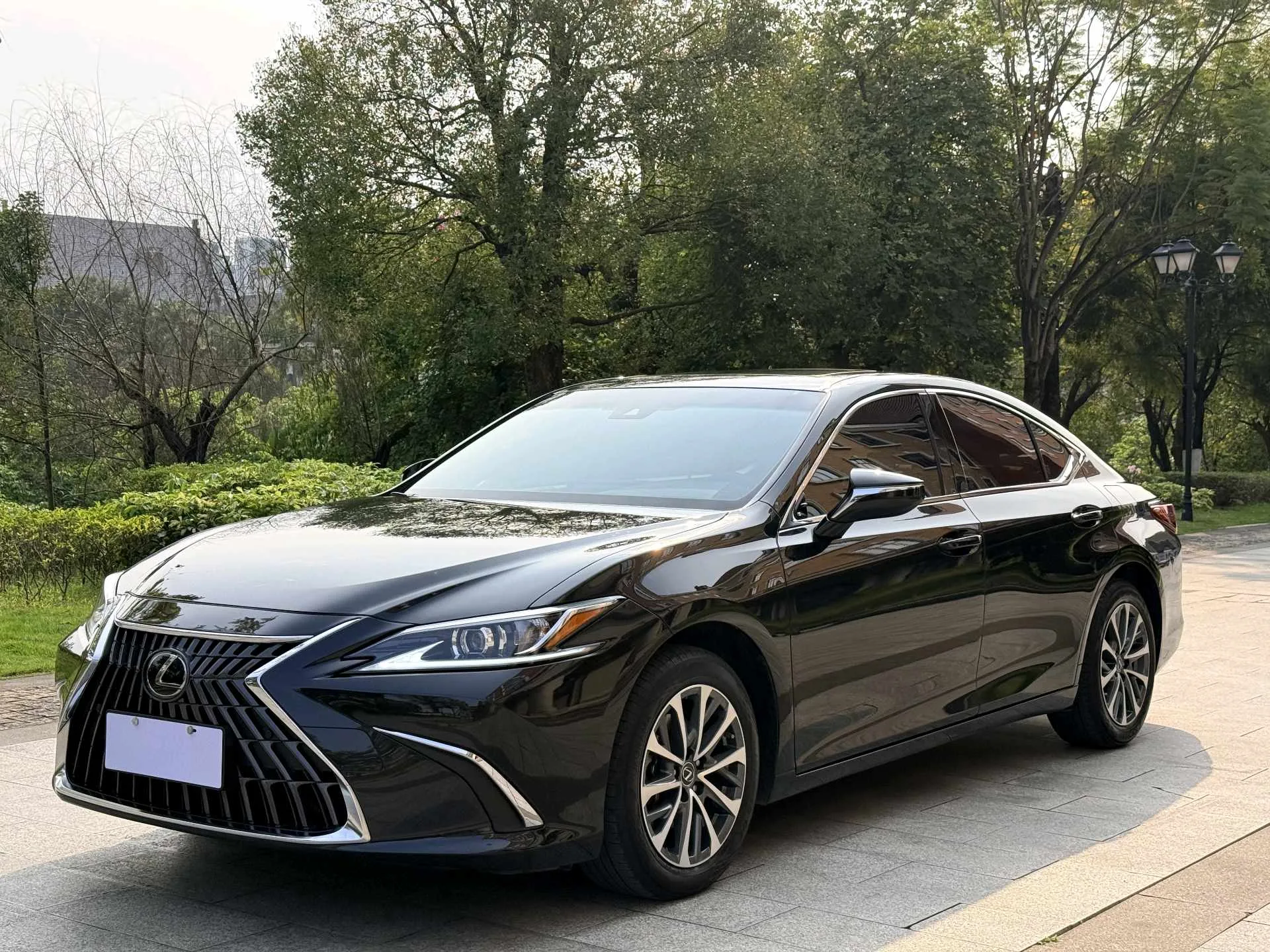 Lexus ES 2022 200 Premium Edition