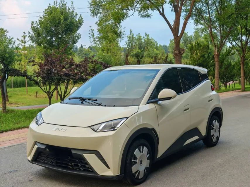 BYD 2025 Seagull 305km/h Vitality Edition Automatic