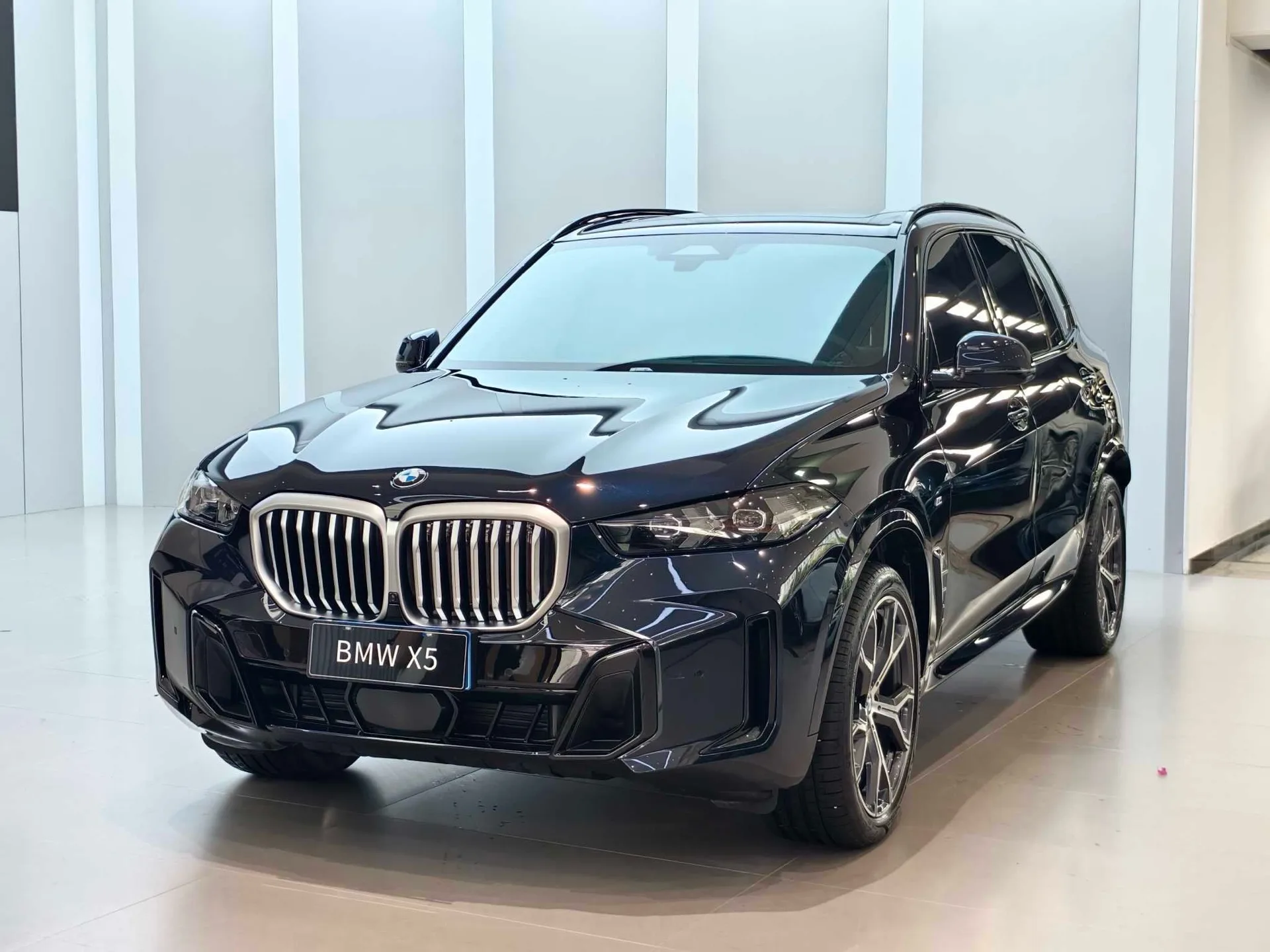 2023 宝马 X5 xDrive30Li 48伏 2.0T 奢华 M 运动 阴影 版 自动的