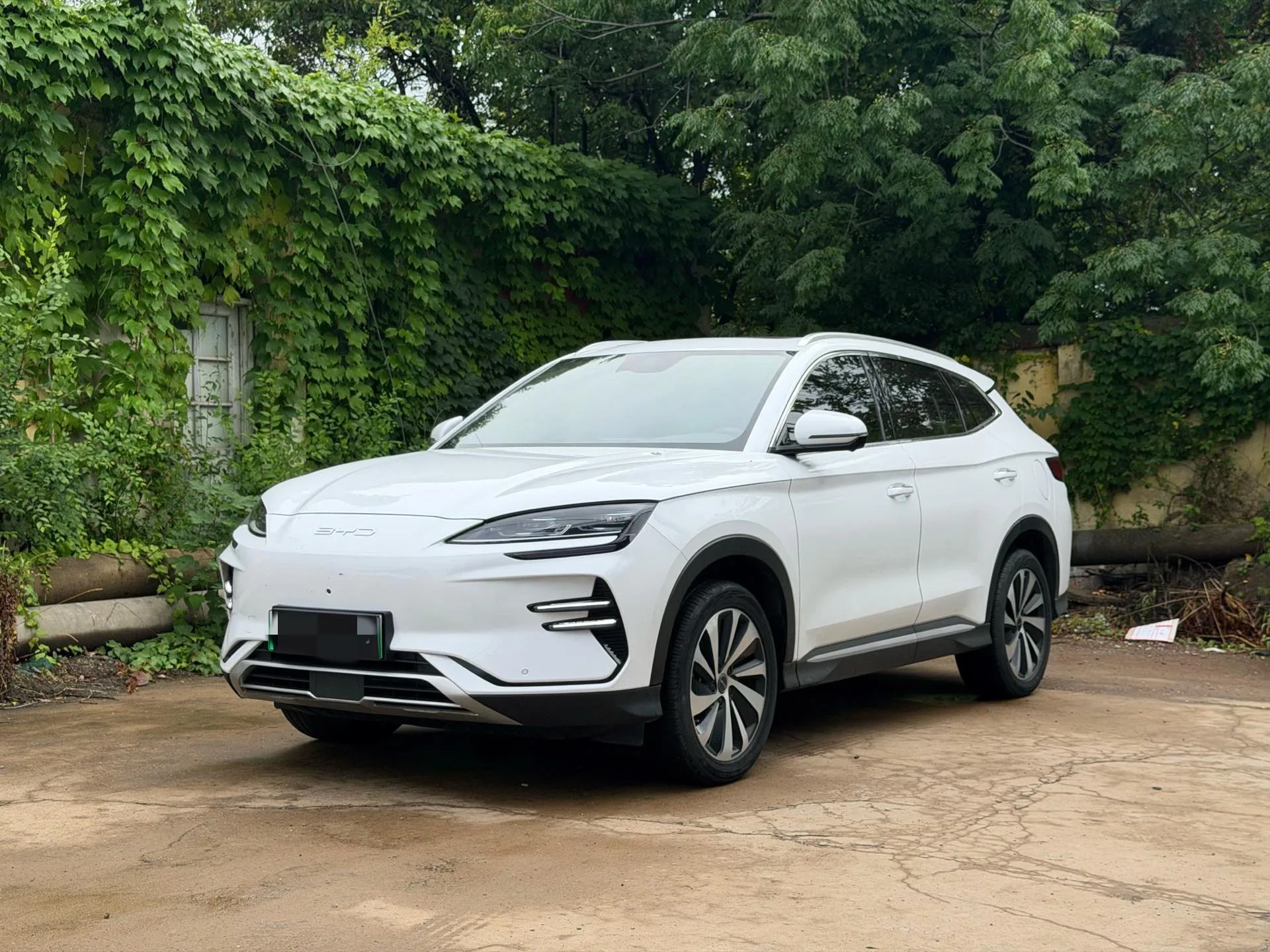 BYD Song PLUS New Energy 2024 Model Year Song PLUS EV Glory Edition 520km Premium Automatic