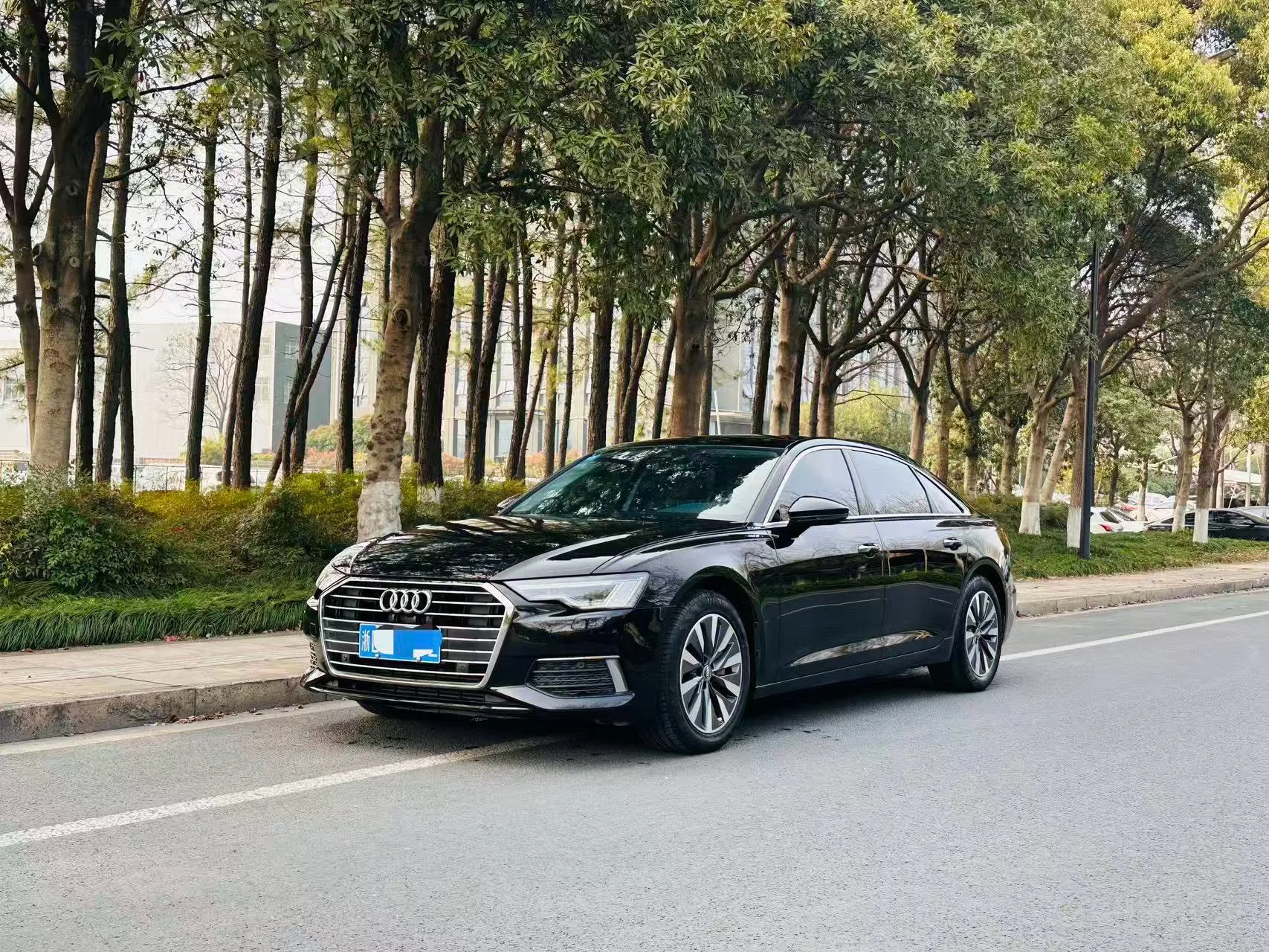 2019 Audi A6L 45 TFSI Premium Elegance Edition