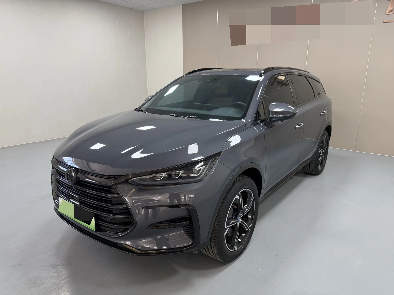 Tang New Energy 2021 DM 2.0T AWD High-Performance Edition Premium
