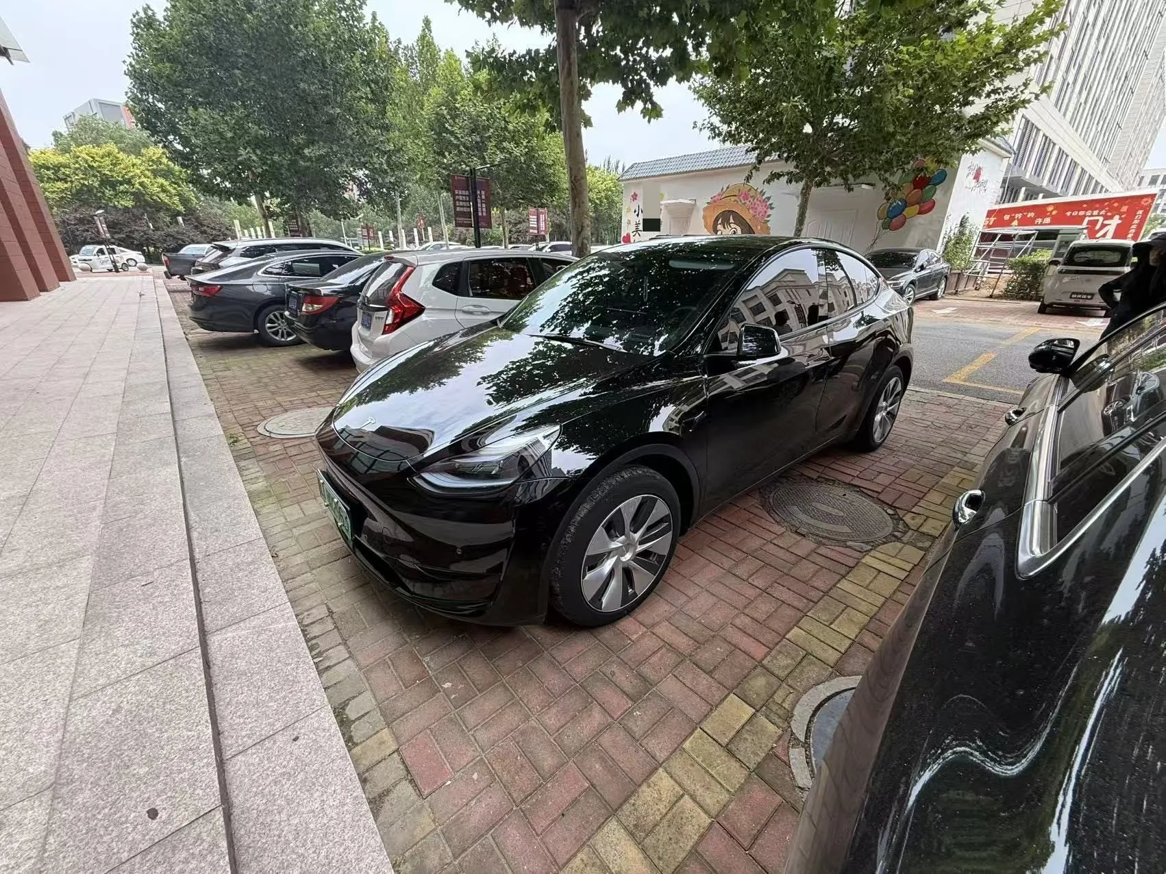 Model Y 2022 Facelift Rear-Wheel Drive Version