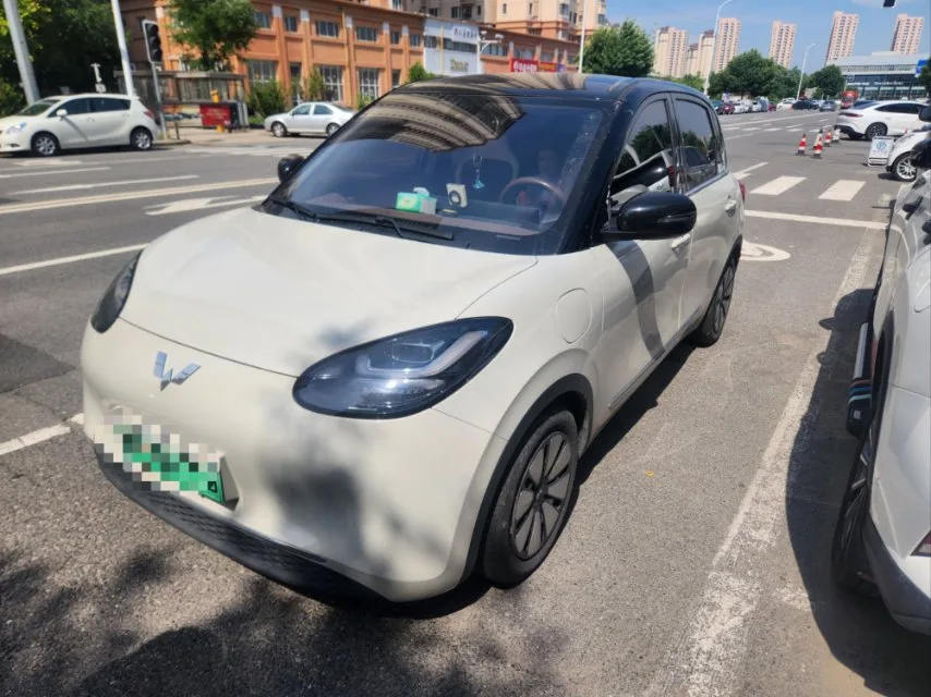 Wuling Bingo 2023 Model, 333km Range, Lingxi Connectivity+ Model