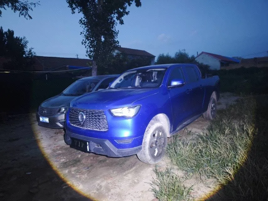 Винтовка 2021 2,0 Т Коммерческий Версия Автоматический Дизель 2WD Элита Длинный Коробка GW4D20M