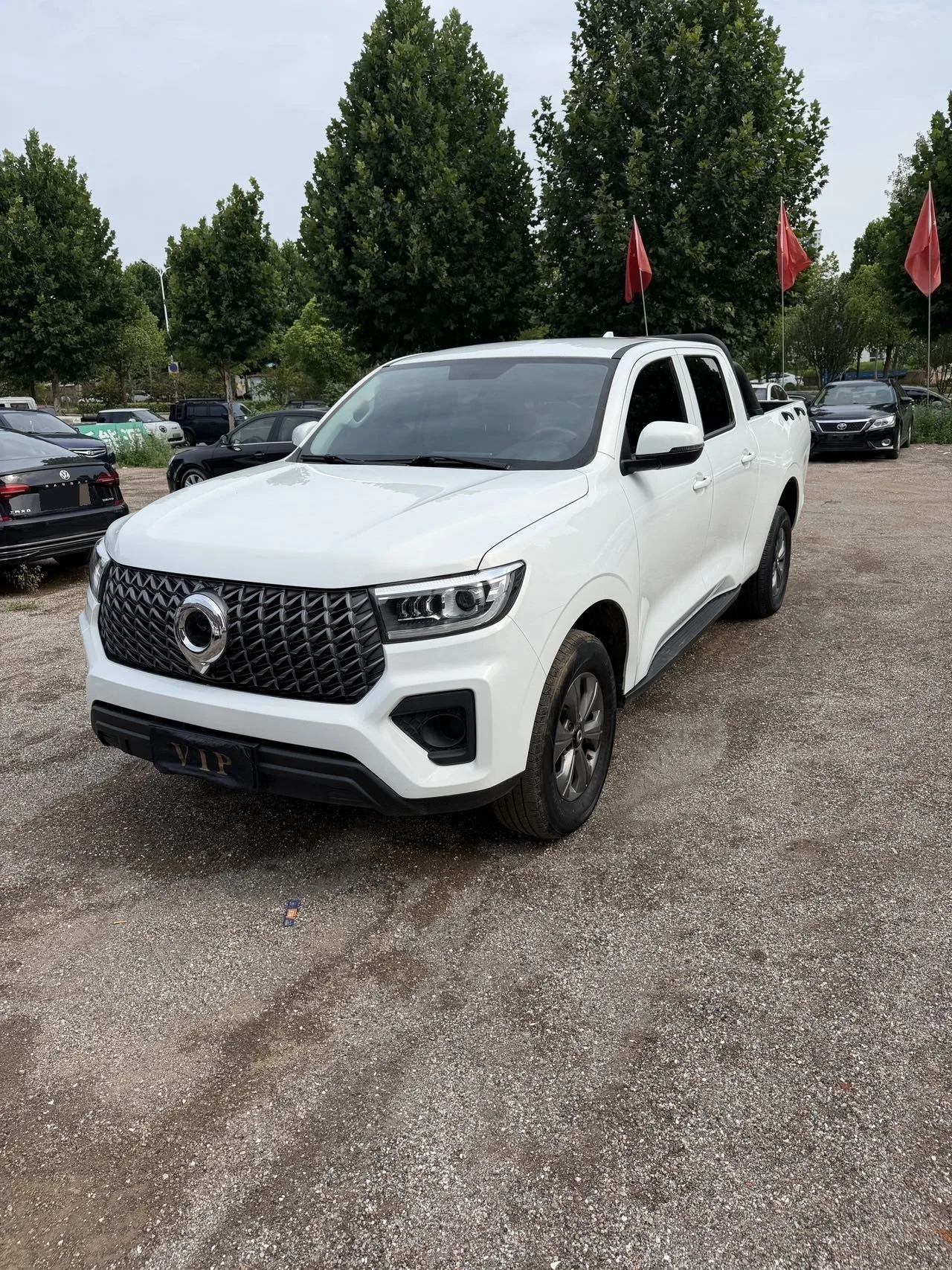 Большой Стена 2025 Падший 2,0 Т Коммерческий Падший Дизель 4WD Холодная погода Версия, Автоматический Передача инфекции