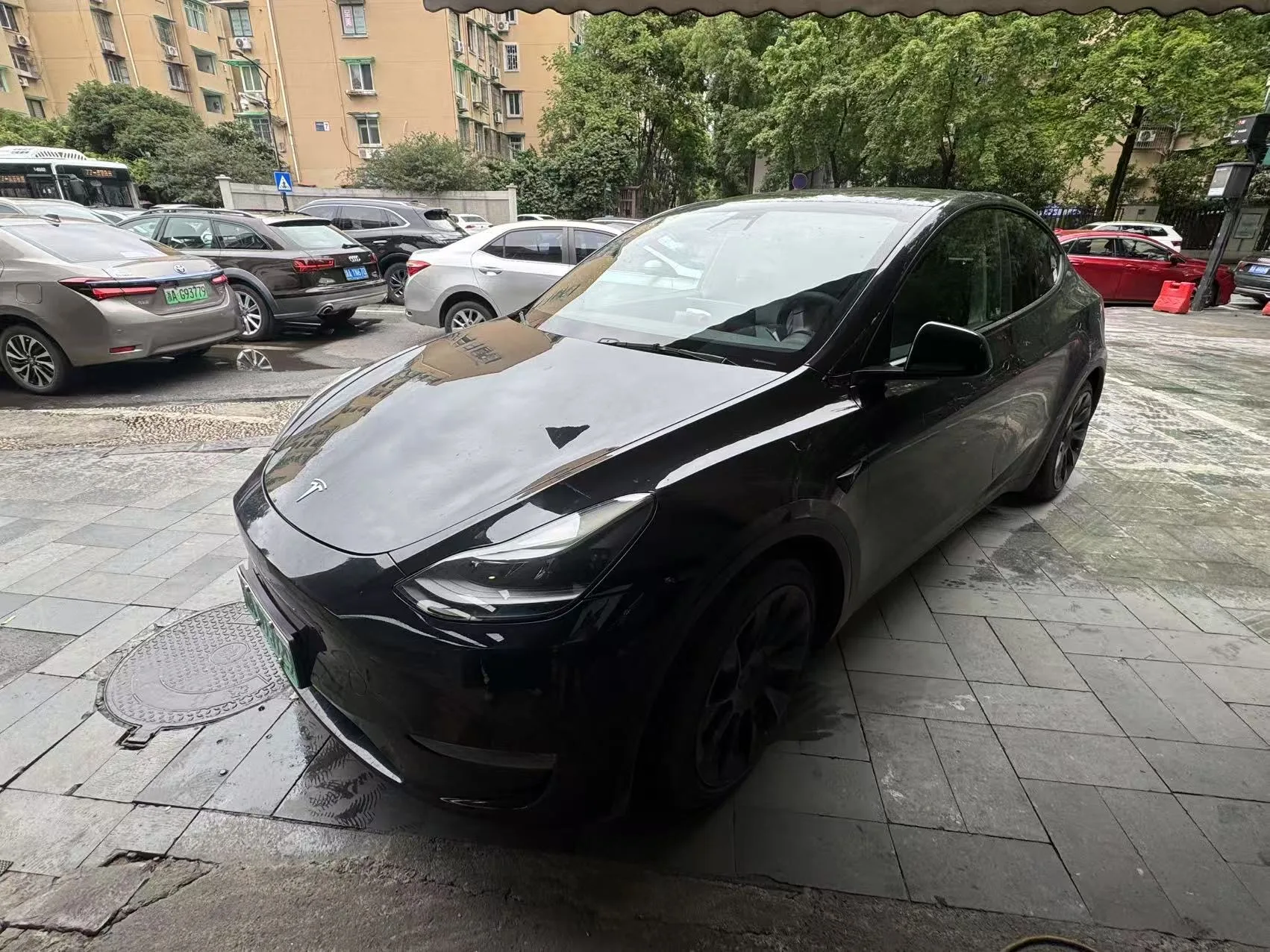 Model Y 2021 Standard Range Rear-Wheel Drive