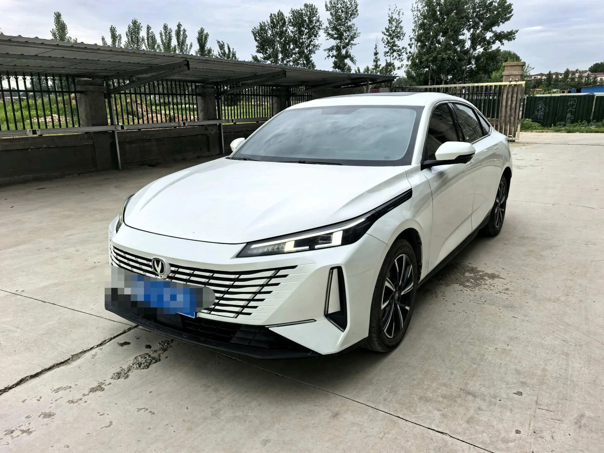 Changan 2024 Eado 1.5TGDI Enjoy Edition Automatic