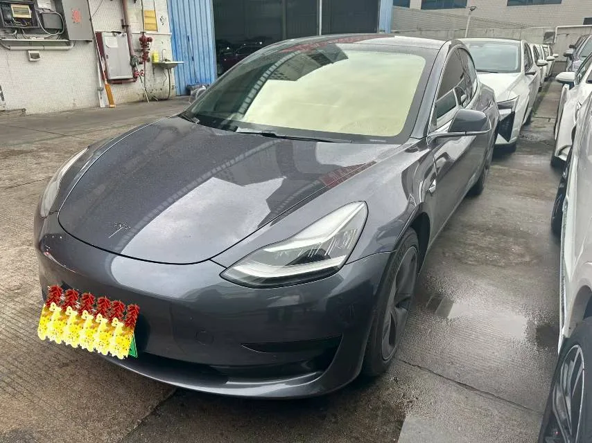 2019 Model 3 Standard Range RWD Plus