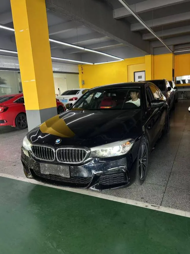 2019 BMW 5 Series 530Li Leading Edition M Sport Package