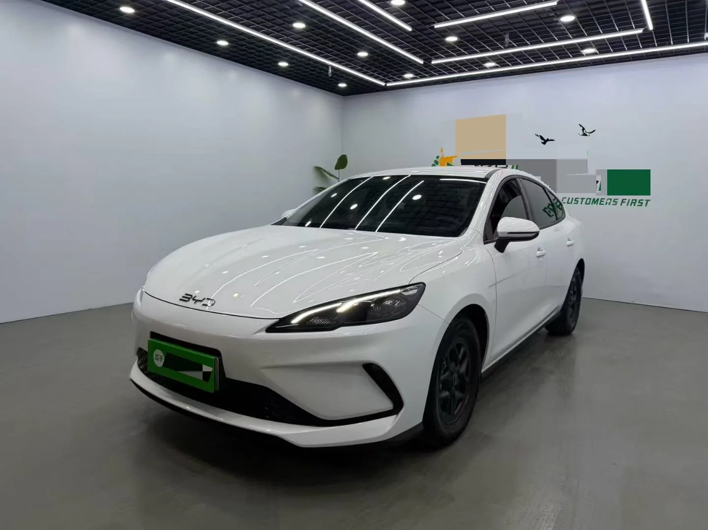 Seal 05 DM-i 2025 DM-i Intelligent Driving Edition 55KM Luxury Model