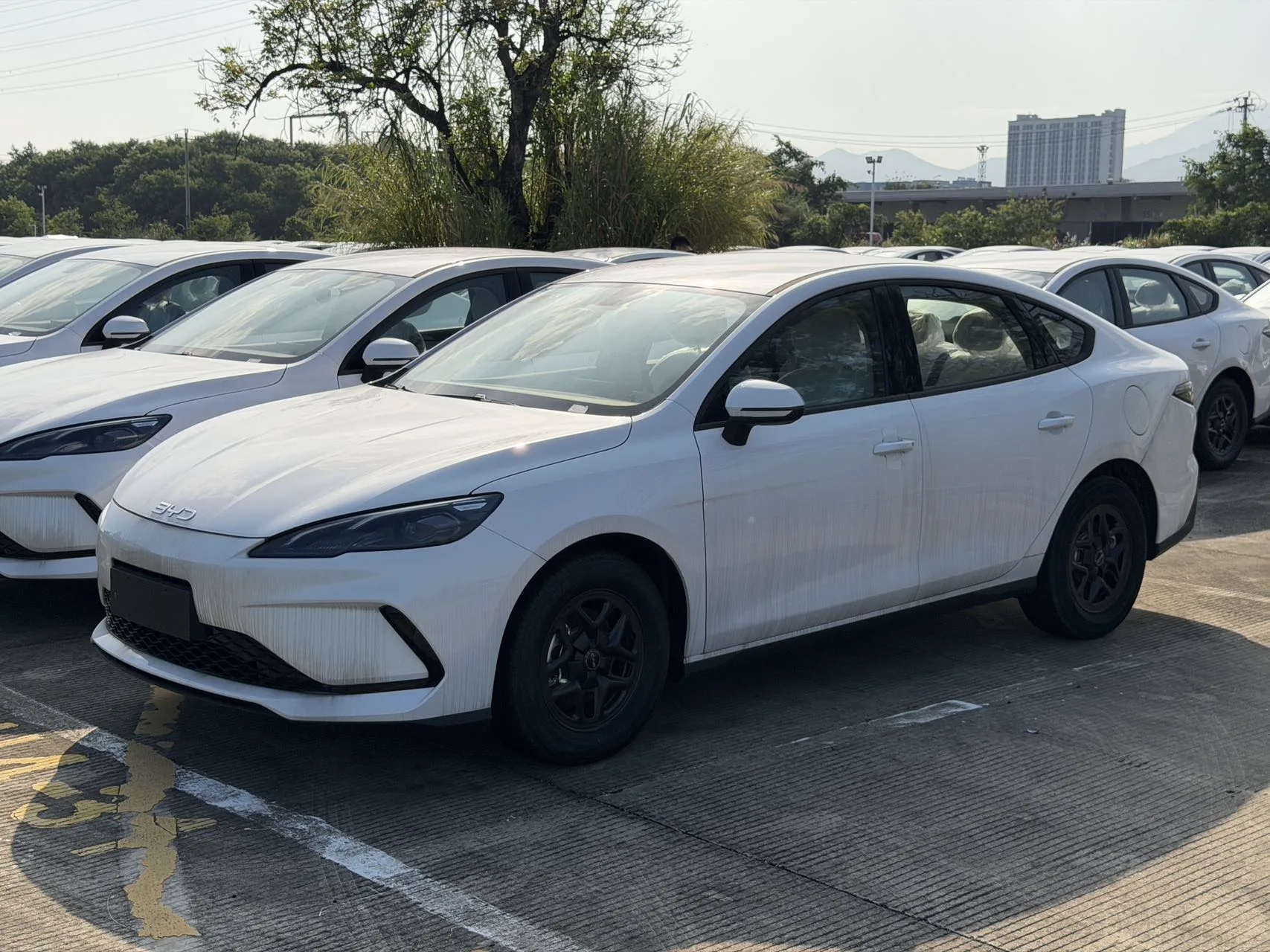 Seal 05 DM-i 2025 DM-i Intelligent Driving Edition 55KM Luxury Model