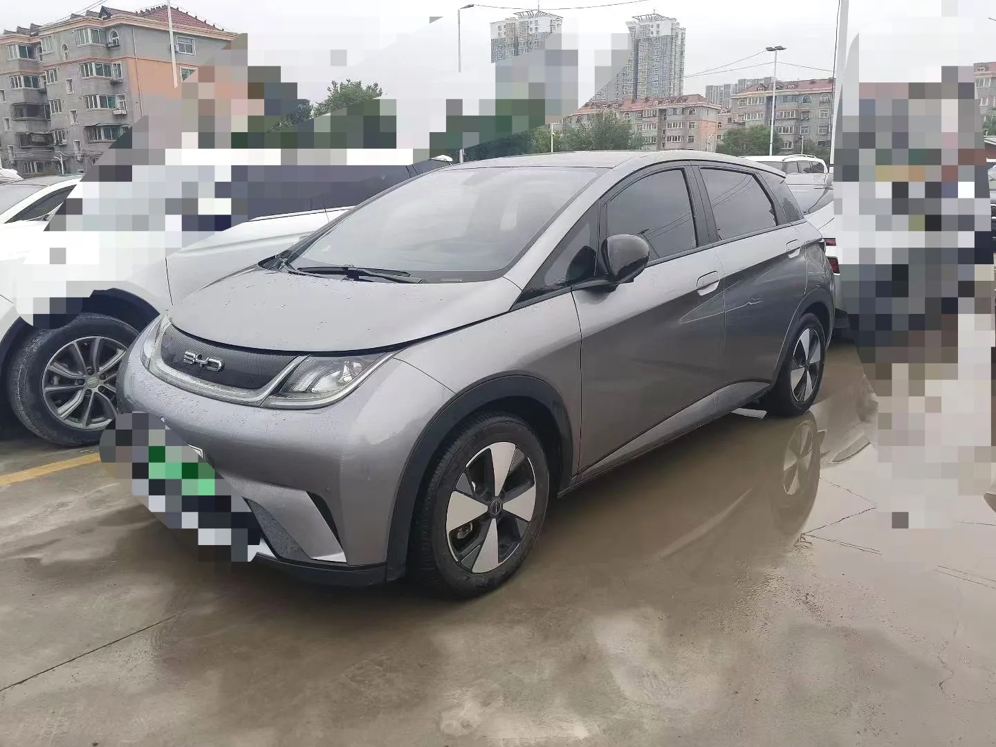 世界 2023 海豚 420公里 时尚 版 自动的