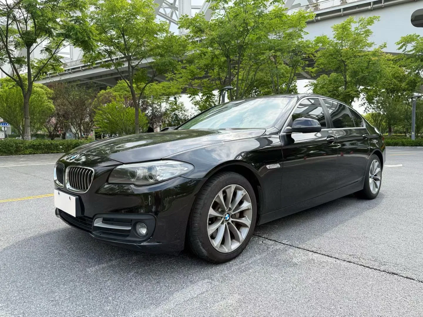 2014 BMW 5 Ряд 528Ли Лидерство Версия