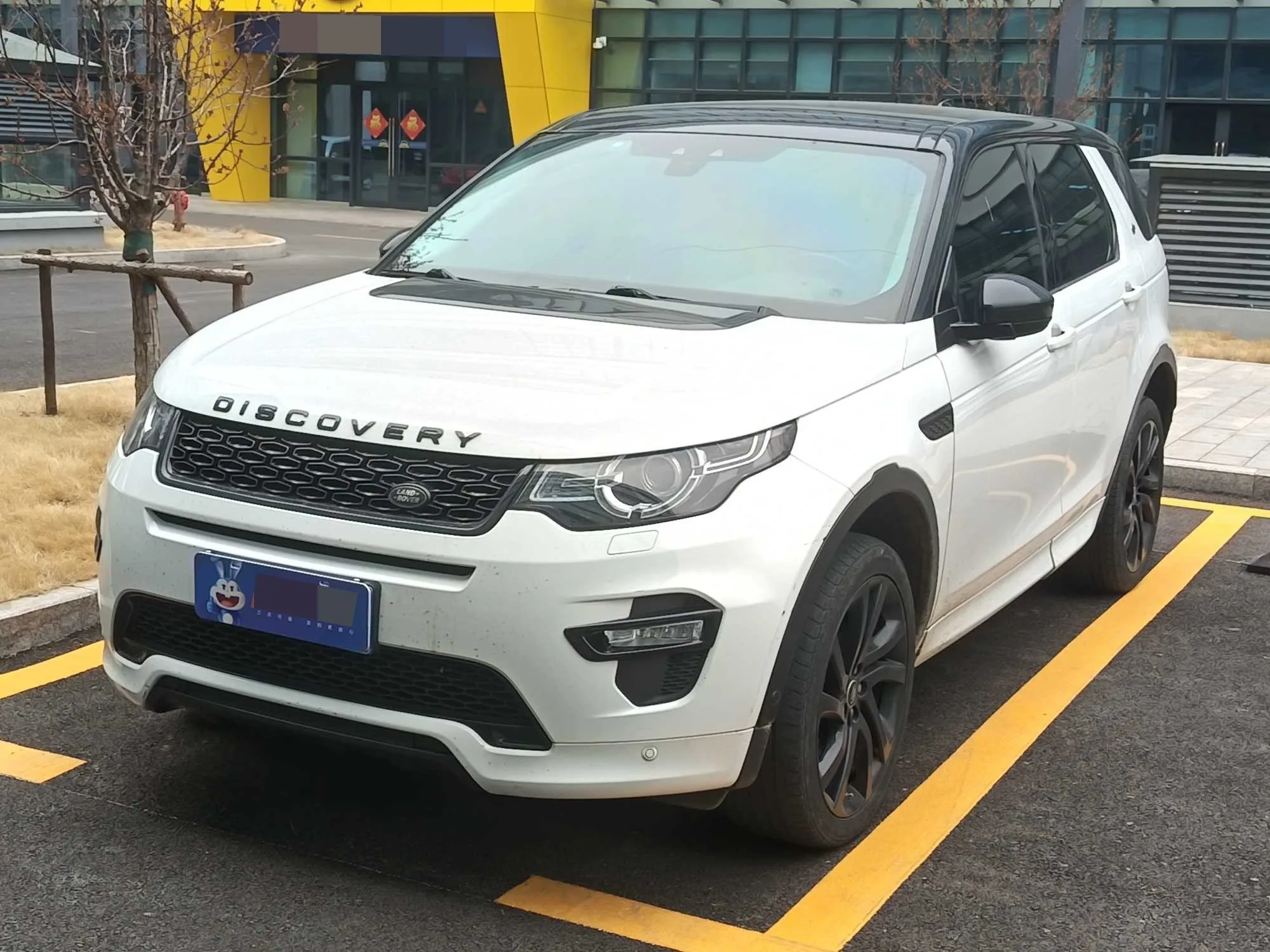 Discovery Sport 2019 240PS SE Dynamic Edition (China V)