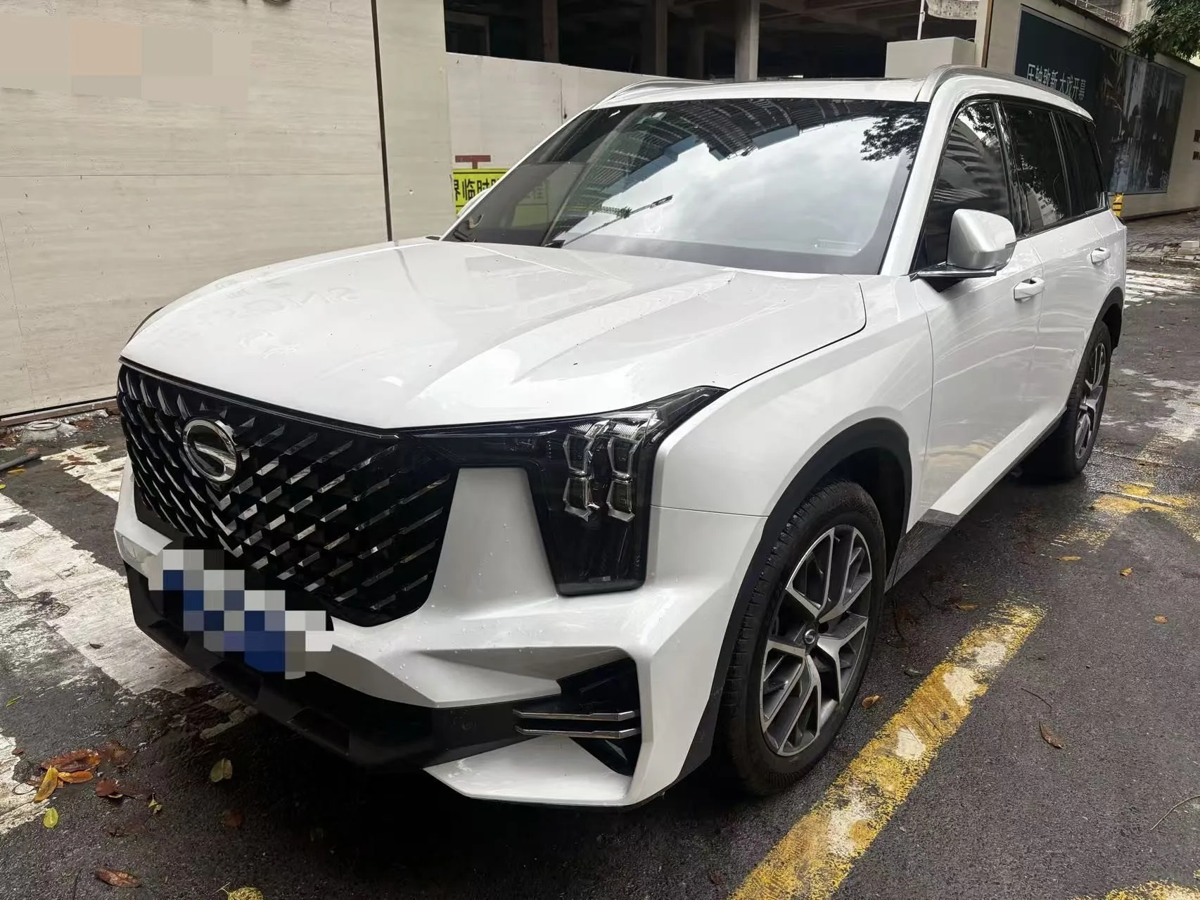 传讯 2024 GS8 2.0TGDI 航海家 系列 两驱 奢华 聪明的 已连接 版 自动的