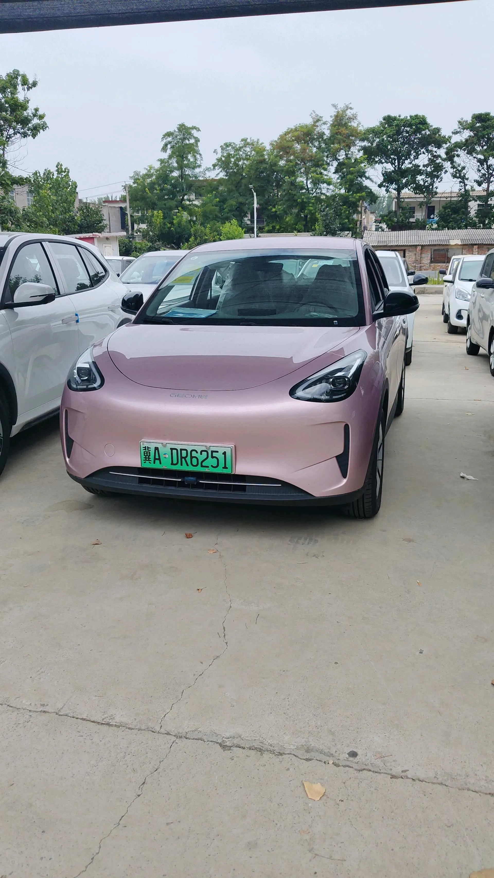 Geely 2026 Star Wish 410km Aspiration Edition Automatic Transmission
