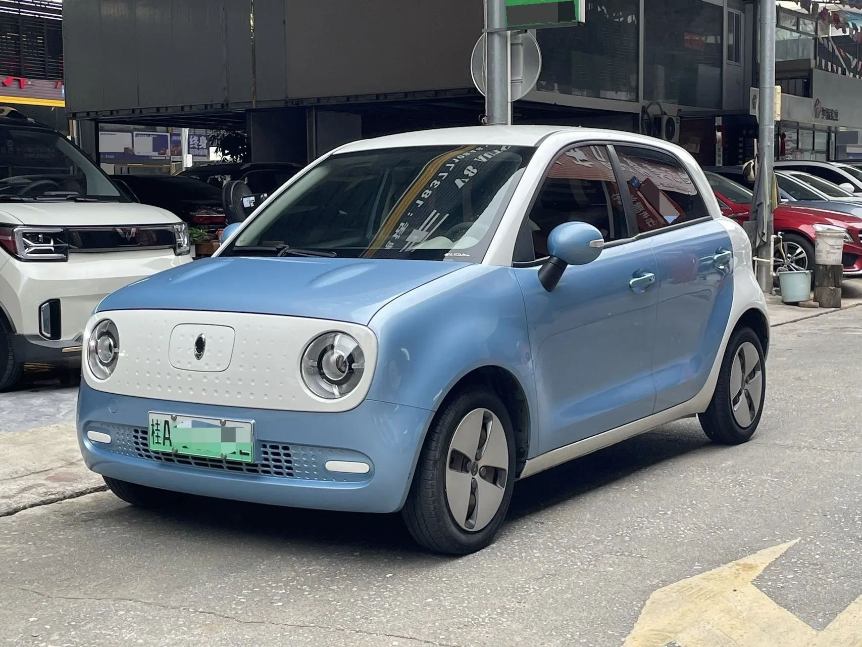 Euler Black Cat 2019 Model, 301 km, Standard Edition