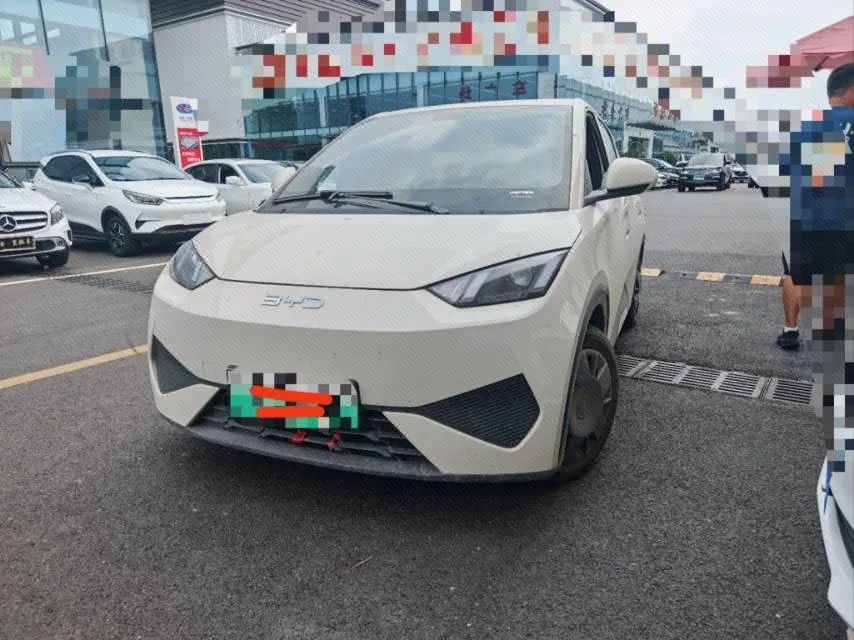 BYD 2025 Seagull Smart Driving Edition 305km/h Vitality Edition Automatic