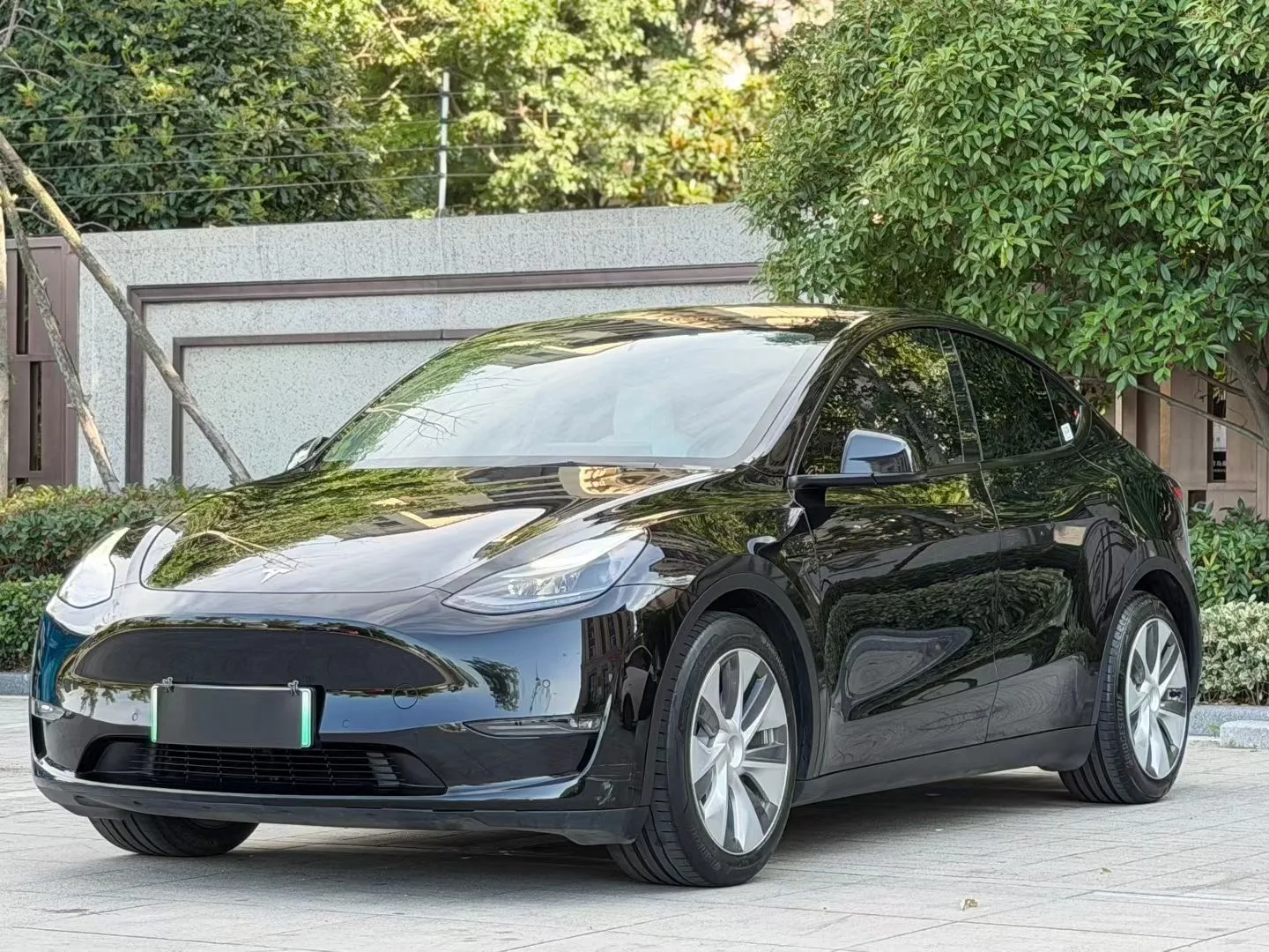 Model Y 2021 Standard Range Rear-Wheel Drive