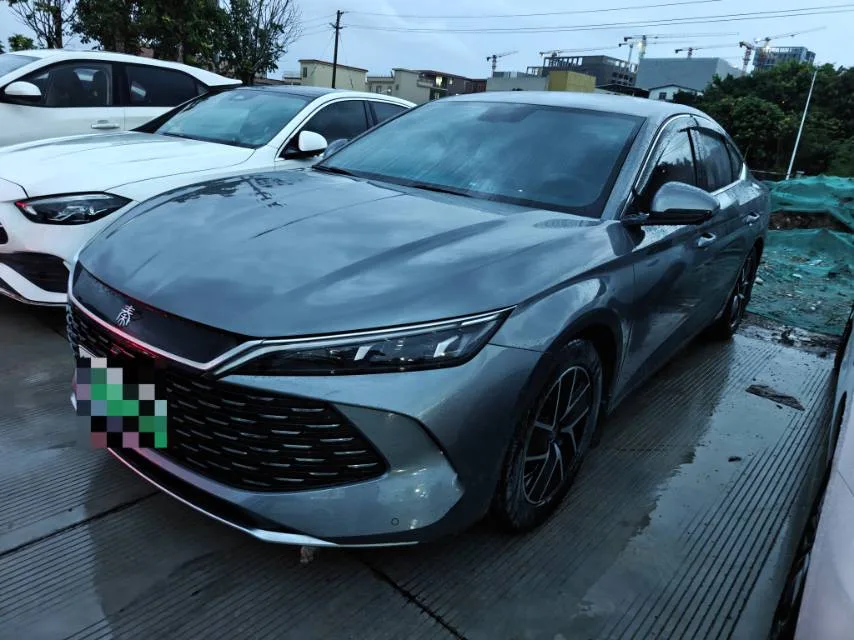 Qin L 2024 DM-i 80KM Super Edition