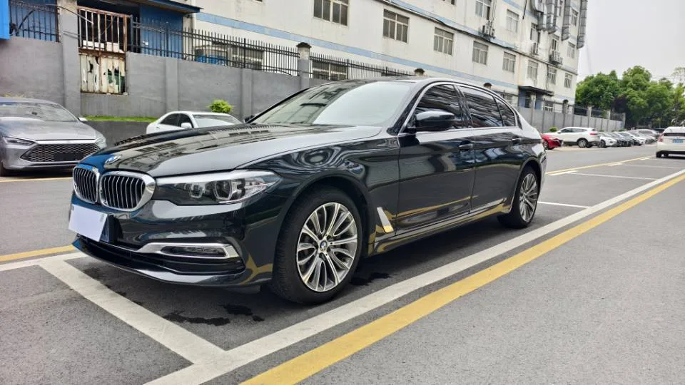 BMW 5 Series 2019 530Li Leading Luxury Package