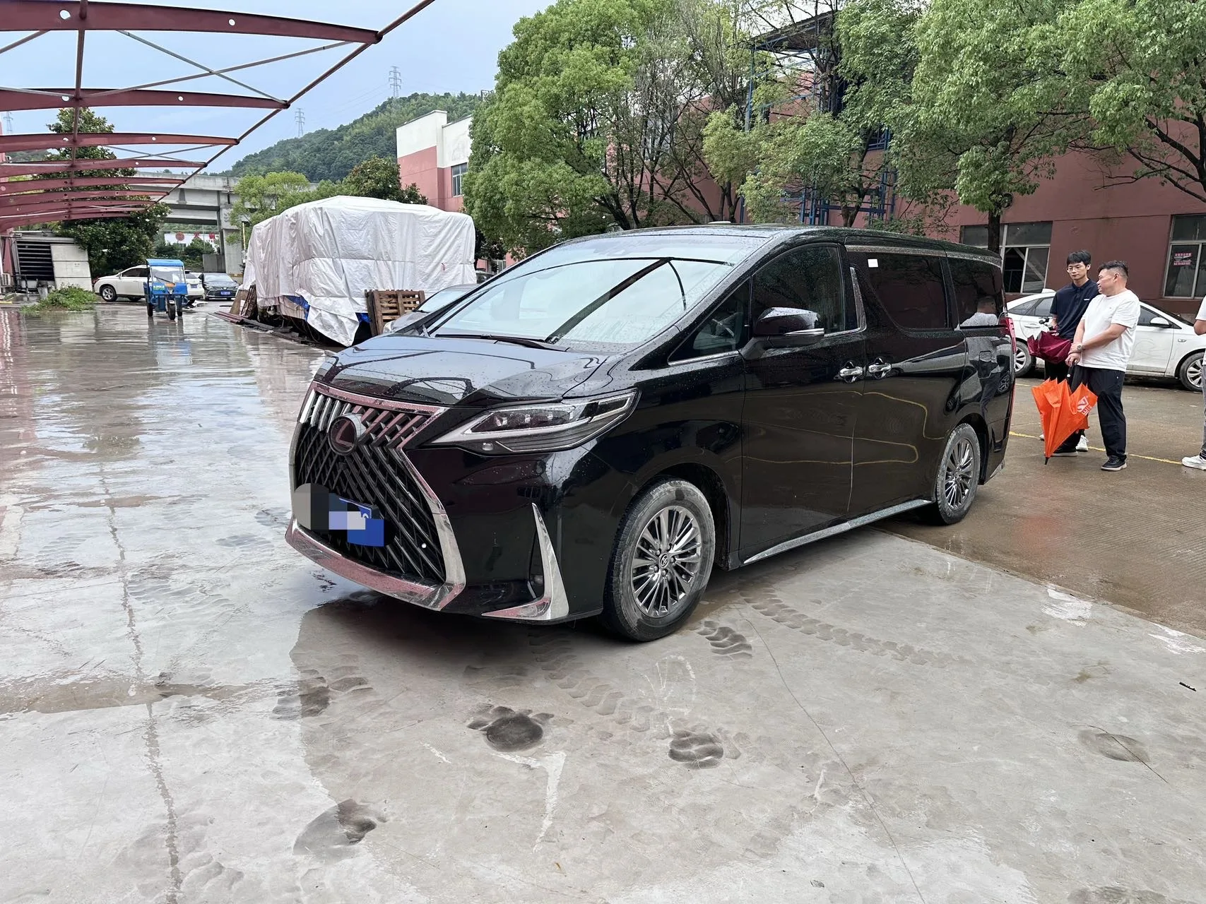 Weilfa 2020 2.5L Hybrid Premium Edition