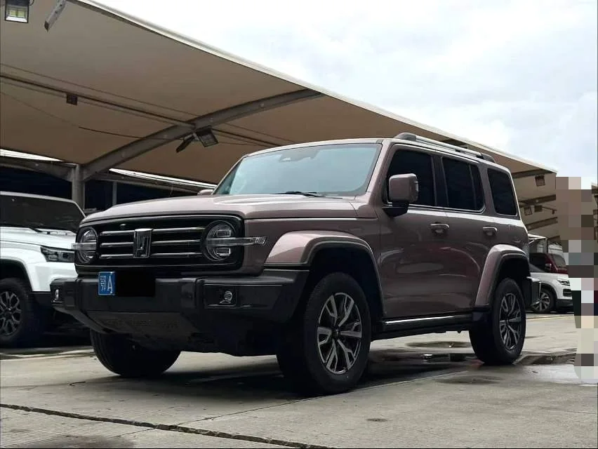 The 2021 Tank 300 City Edition 2.0T is very stylish.