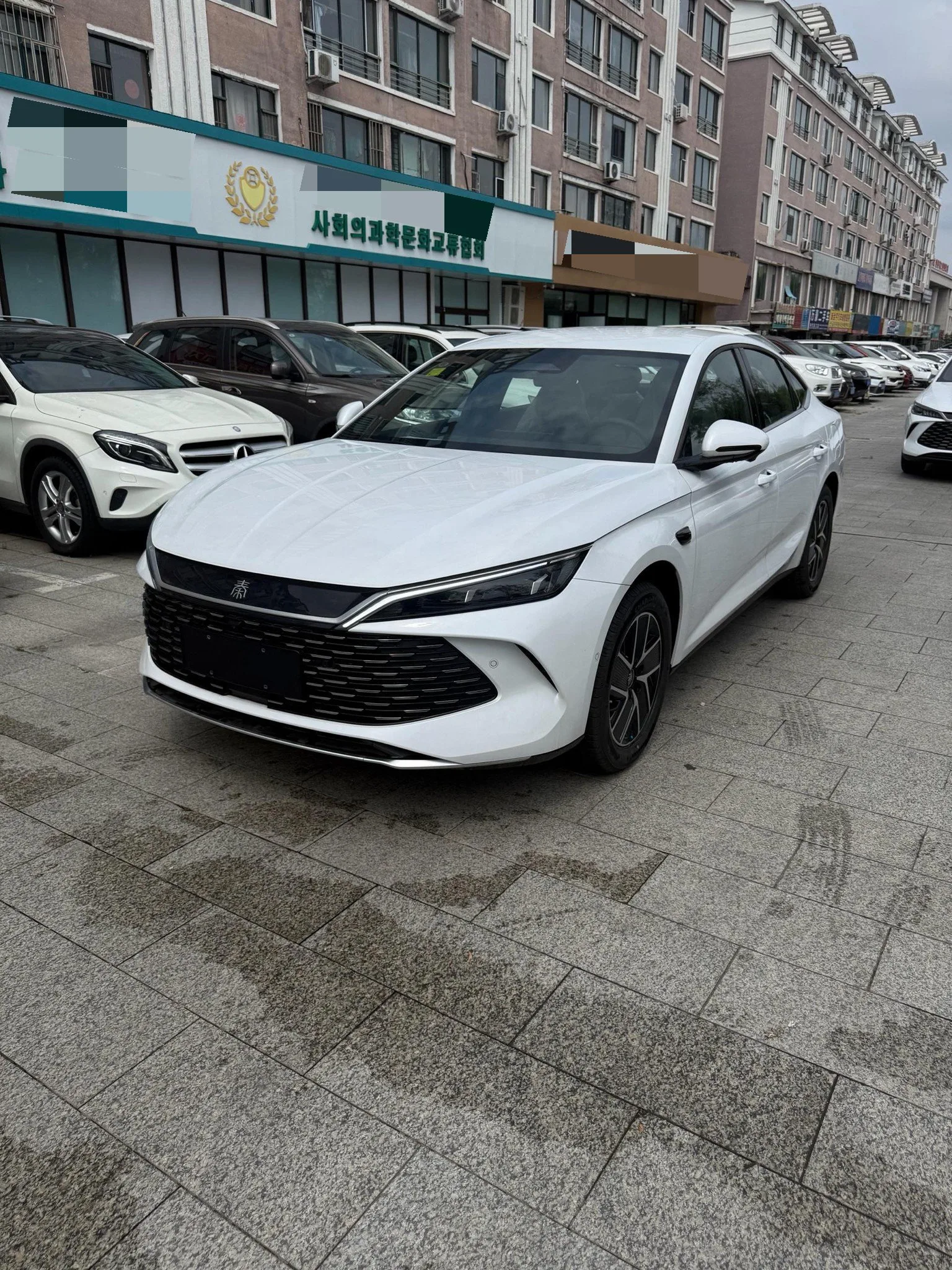 世界 2026 秦 L DM-i 1.5 CVT 128公里 领导 版 自动的
