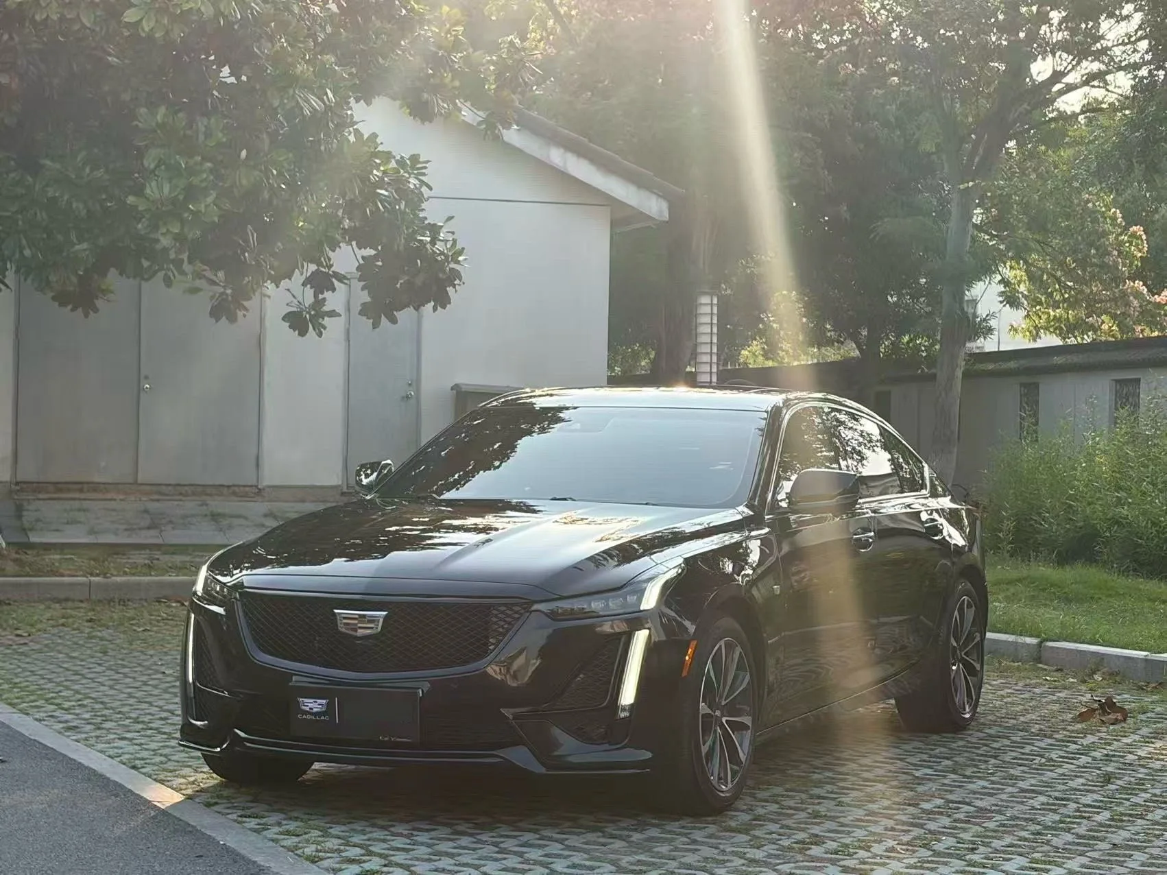 Cadillac CT5 2021 28T Premium