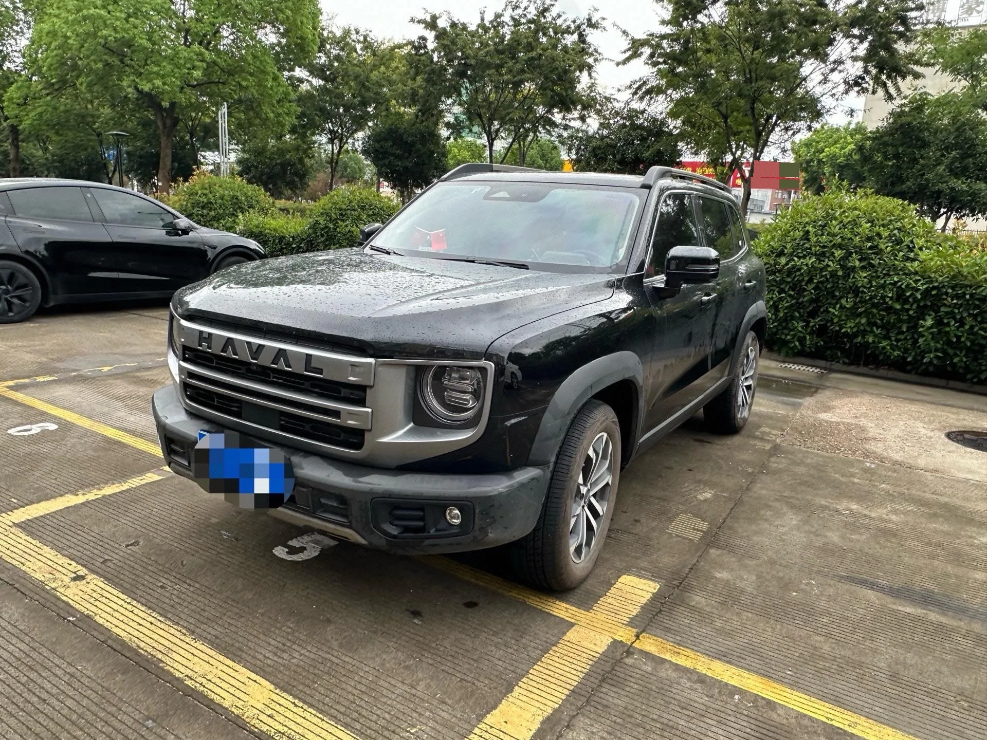 Haval 2024 Big Dog 1.5T Border Collie Edition Automatic