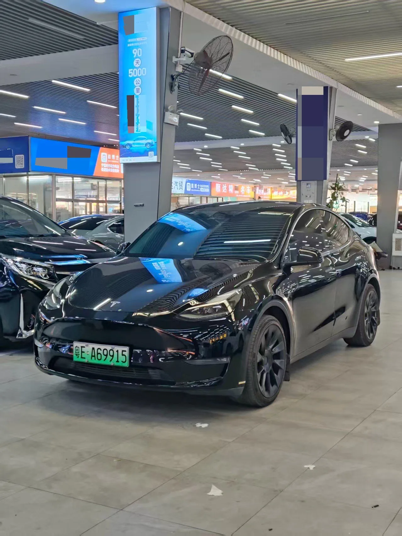 Model Y 2021 Standard Range Rear-Wheel Drive